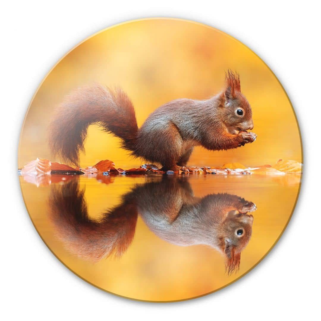 K&L Wall Art Glasbild Glas Wandbild Rund Glasbild van Duijn Eichhörnchen Waldtiere, Wandschutz Deko Bilder