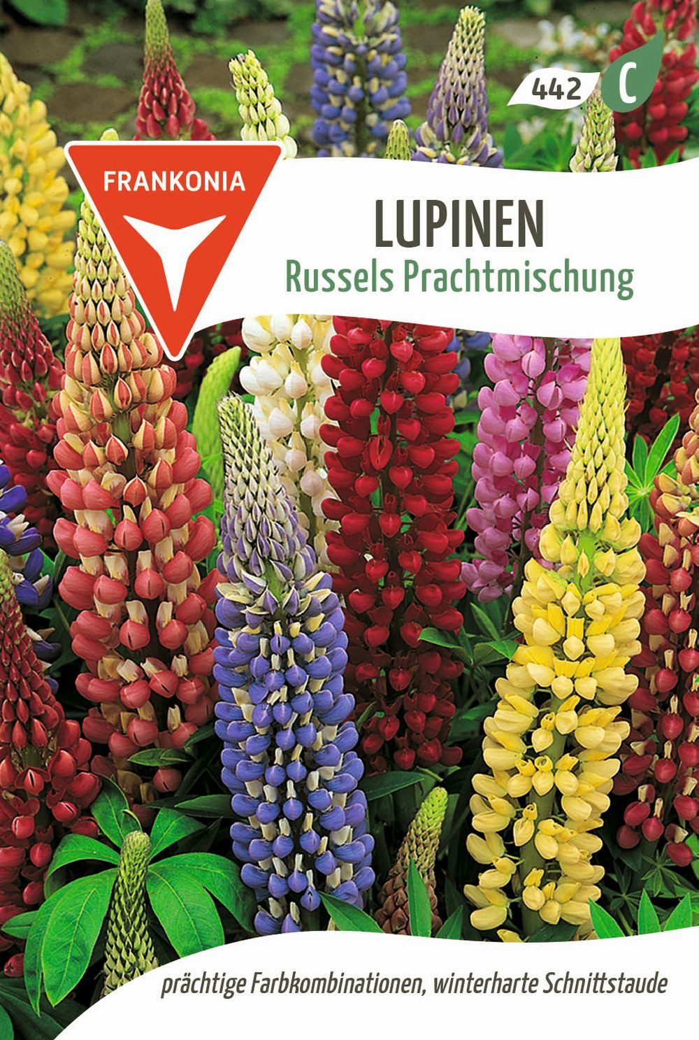 FRANKONIA Blumensamen Lupine, Russels Prachtmischung - Saatgut Samen, Lupinus polyphyllus