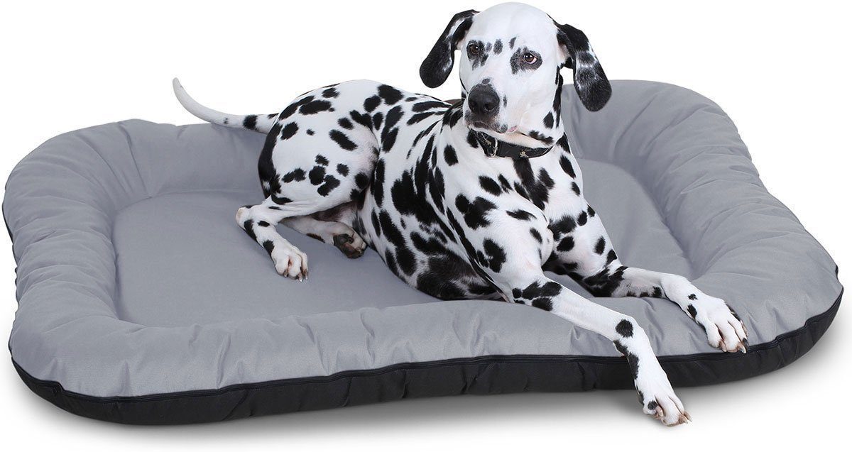 Knuffelwuff Tierbett Hundebett Lucky, Schaumstoffflocken günstig online kaufen
