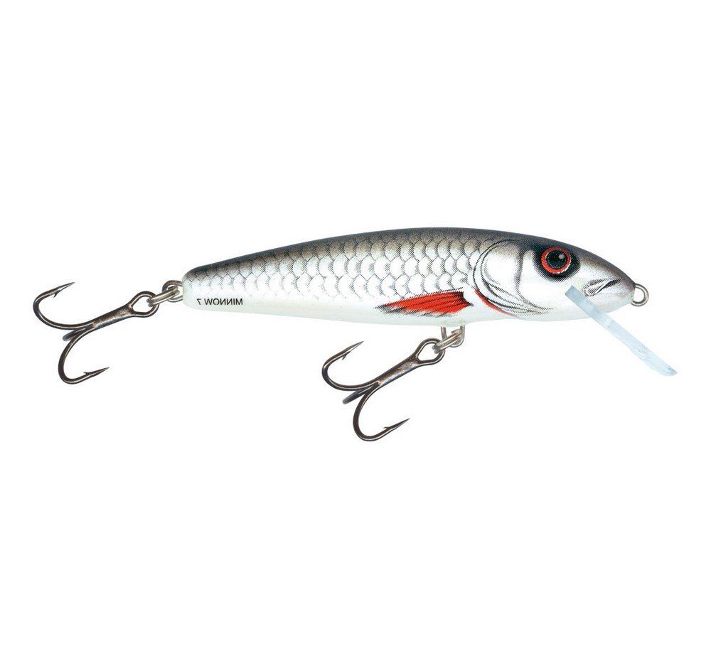 Salmo Kunstköder Salmo Minnow Wobbler Crankbait D Dace Weissfisch, (1-St)