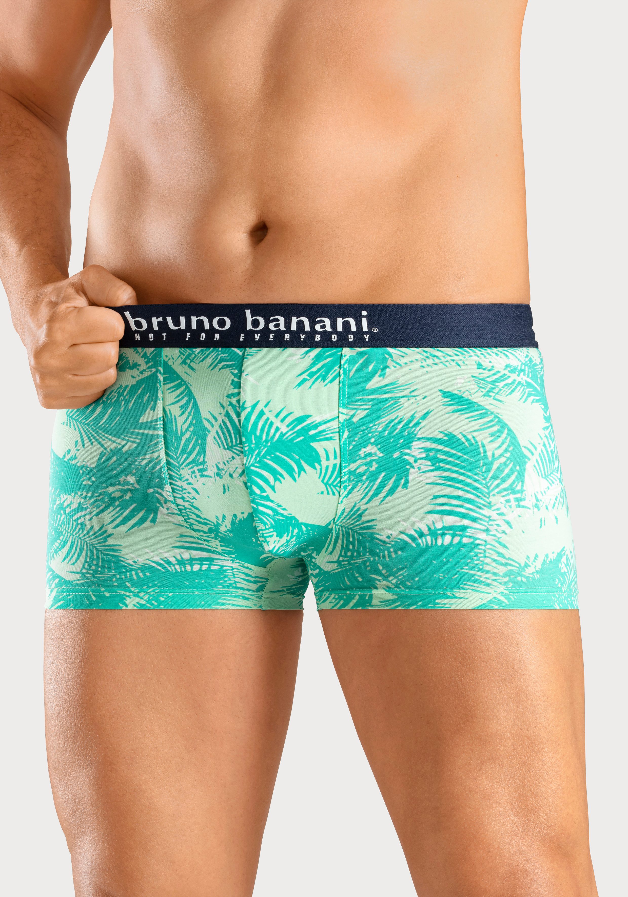 Bruno Banani Boxer Boxershorts für Herren (Packung, 4-St., 4er-Pack) mit Palmendruck und unifarben aus Baumwollmischung – Bild 2 von 5