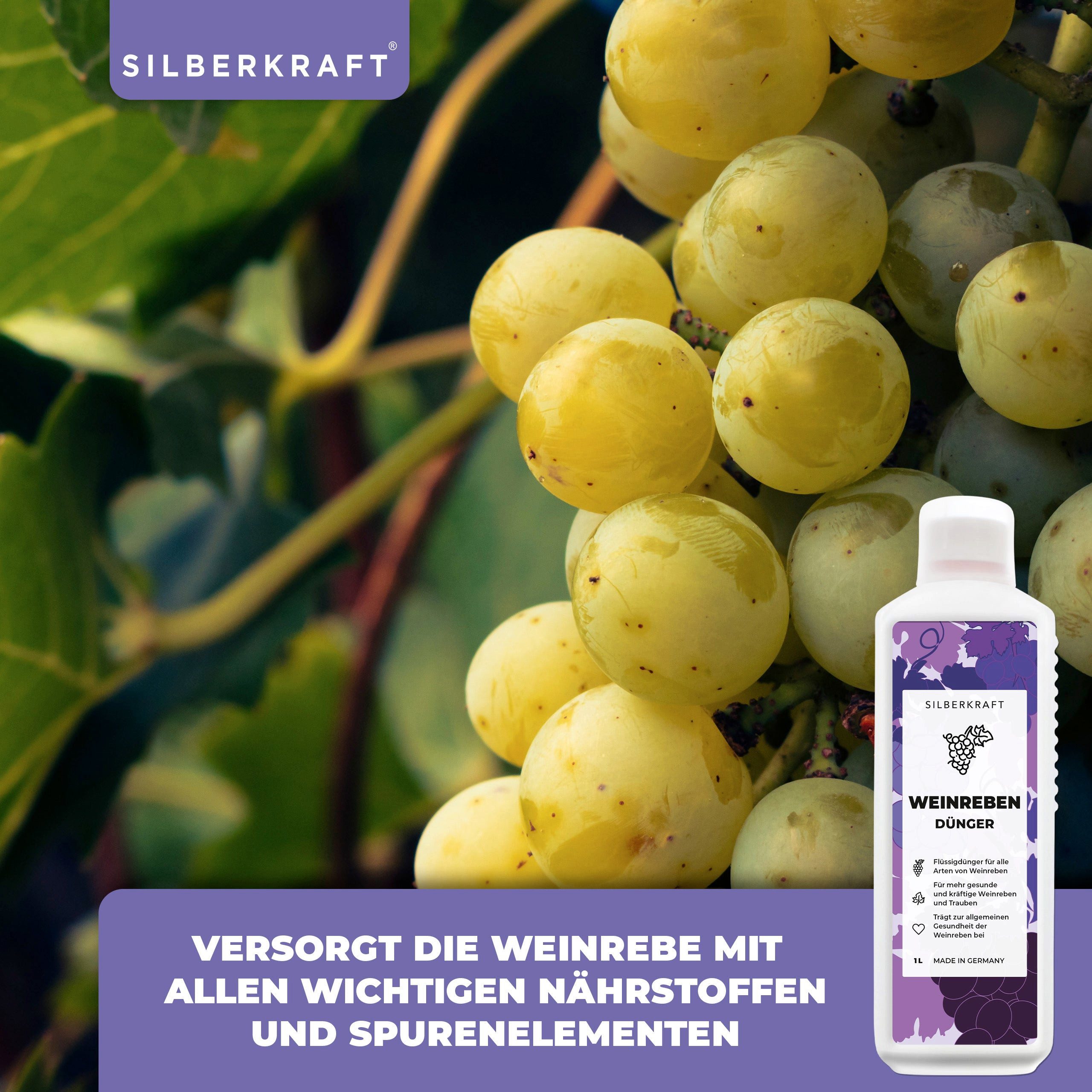 Silberkraft Pflanzenstärkungsmittel Weinreben Dünger - Mineralischer günstig online kaufen