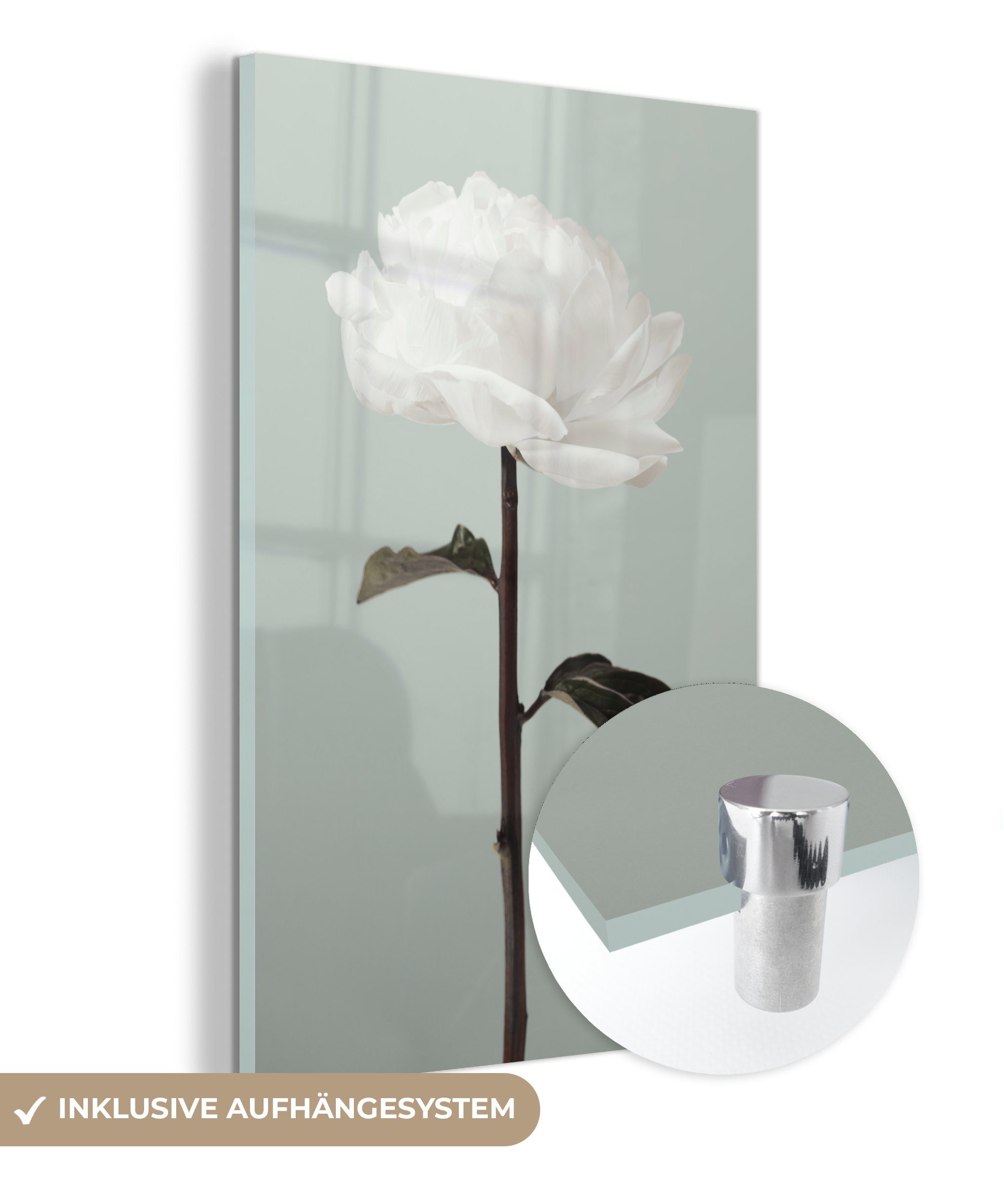 (1 MuchoWow Glasbilder Bilder - - Acrylglasbild St), Wanddekoration Glas Weiß - Blumen Glas Rose - Stilleben, - - auf - Foto Wandbild auf Grün