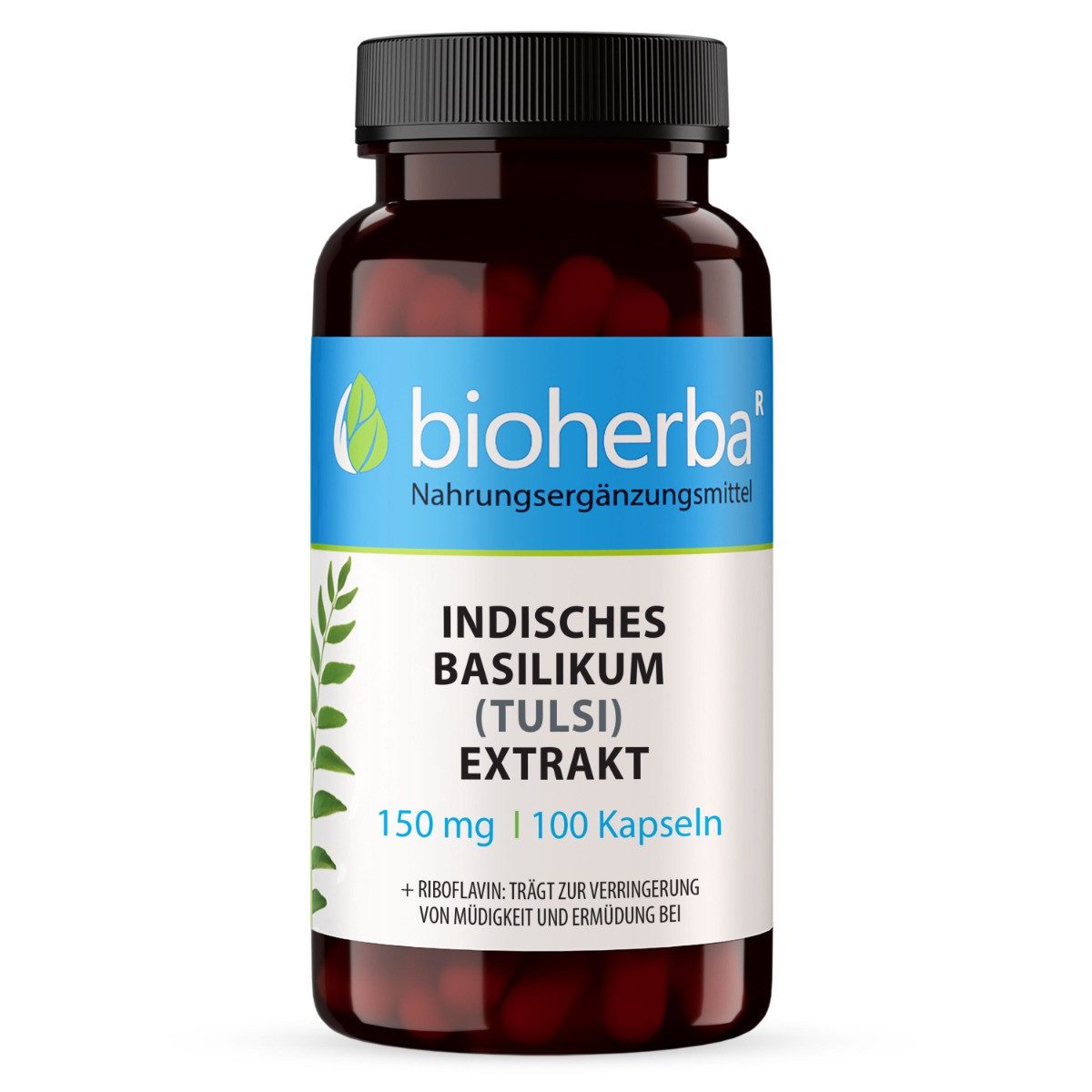 BIOHERBA R Indisches Basilikum (Tulsi) Extrakt 150 mg 100 Kapseln Nahrungsergänzungsmittel