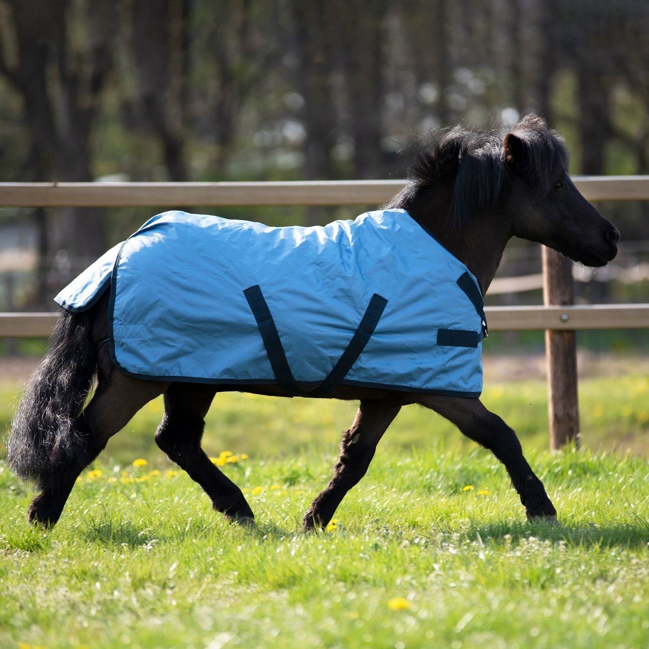 BUSSE Regendecke Tierdecke Pferdedecke Windchilly Pony Mini