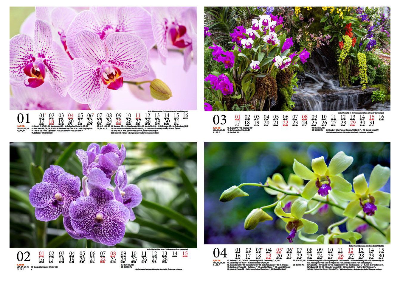 Seelenzauber Tischkalender Orchideenzauber DIN A5 Tischkalender für 2026 Orchideen und Blüten