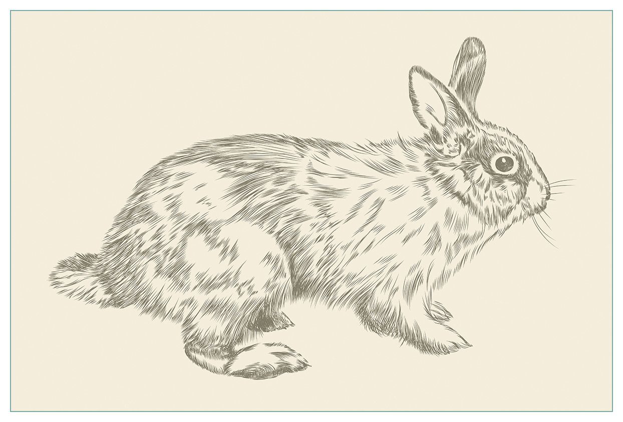 Wallario Küchenrückwand Hase als illustrierte Bleistiftzeichnung, (1-tlg)