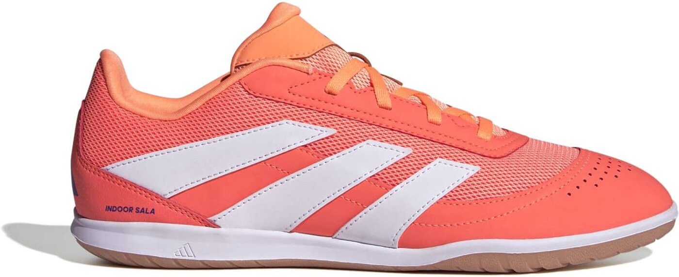 adidas Sportswear PREDATOR CLUB IN SALA SIGCOR/FTWWHT/BEAORA Fußballschuhe Halle Uni Fußballschuh