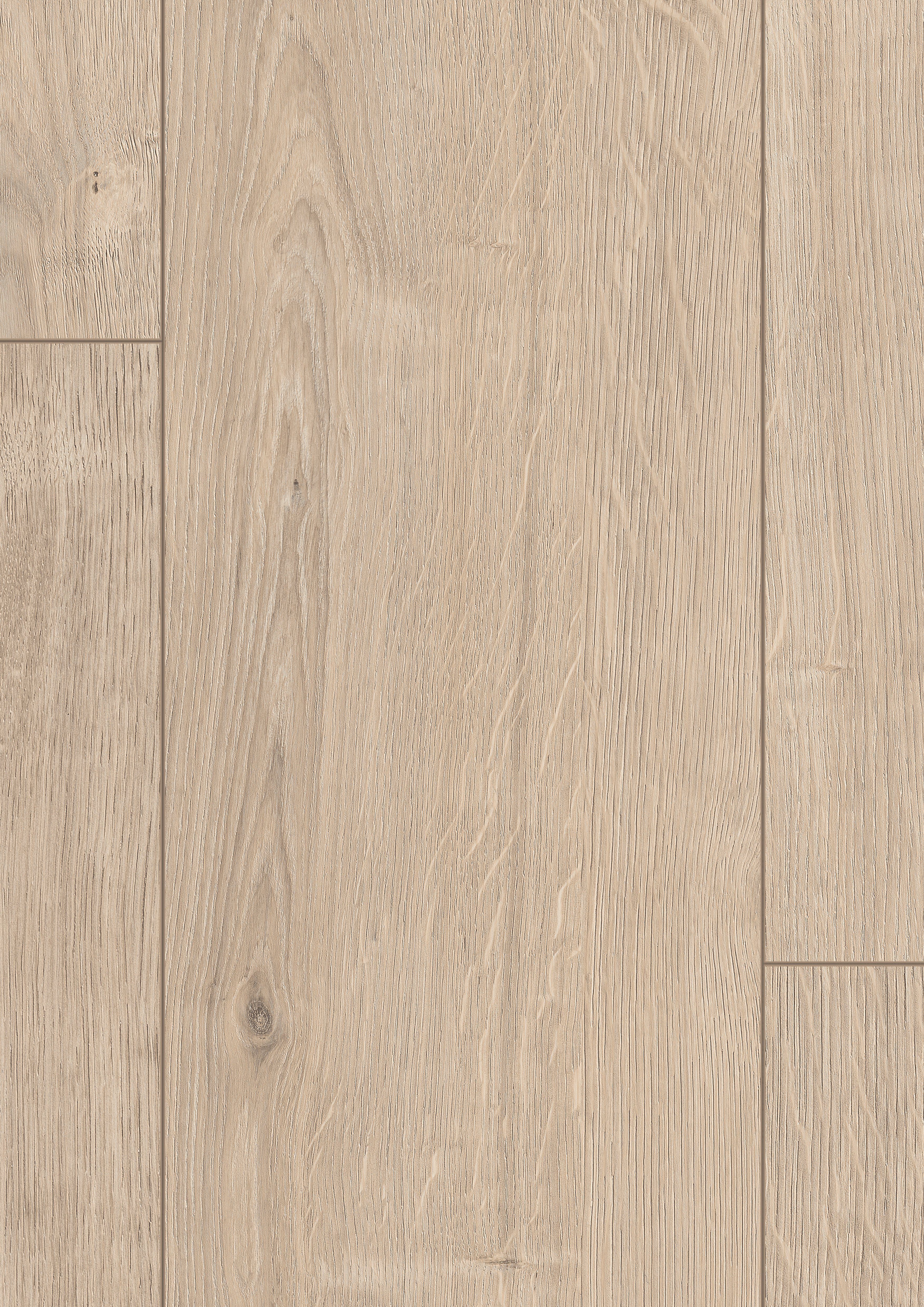 EGGER Laminat EL1000 Berdal Eiche hell, (7mm, 2,494m),Praktisch & wertbestä günstig online kaufen