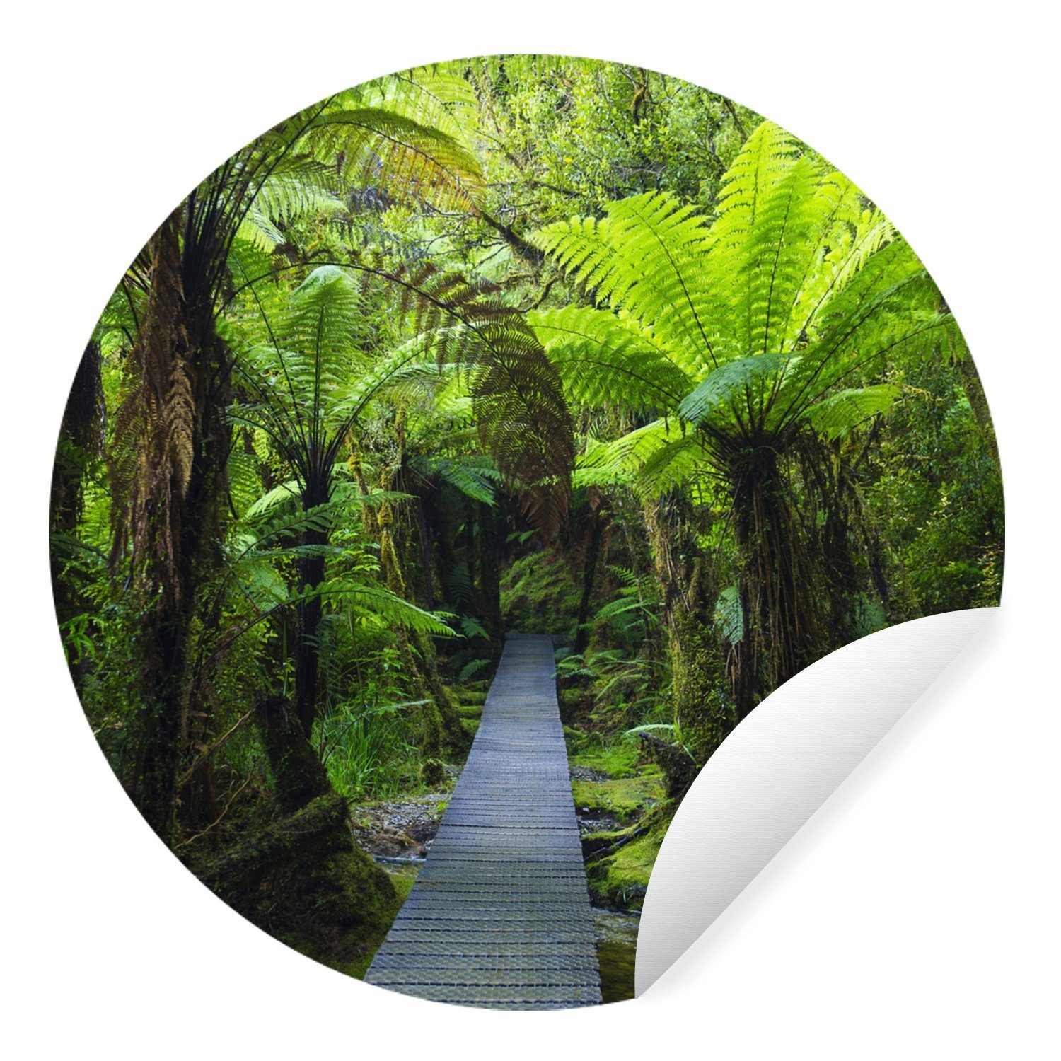 MuchoWow Wandsticker Neuseeland - Pfad - Dschungel (1 St), Tapetenkreis für Kinderzimmer, Tapetenaufkleber, Rund, Wohnzimmer