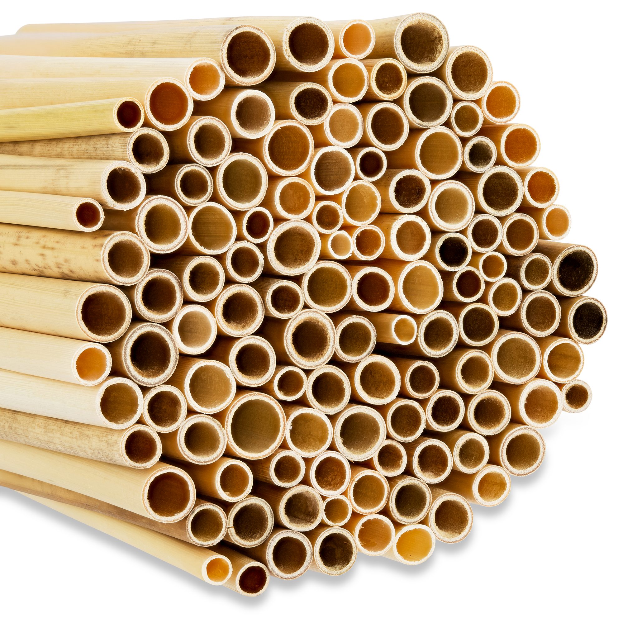 BEESI Insektenhotel 1000x Naturbelassen Niströhren für Wildbienen aus Schilf 14 cm lang, (I Insektenhotel Füllmaterial, 1000-St., I Nisthülsen für Insektenhotel I Bienenhotel Röhrchen), Durchmesser 3-7 mm inkl. E-Book