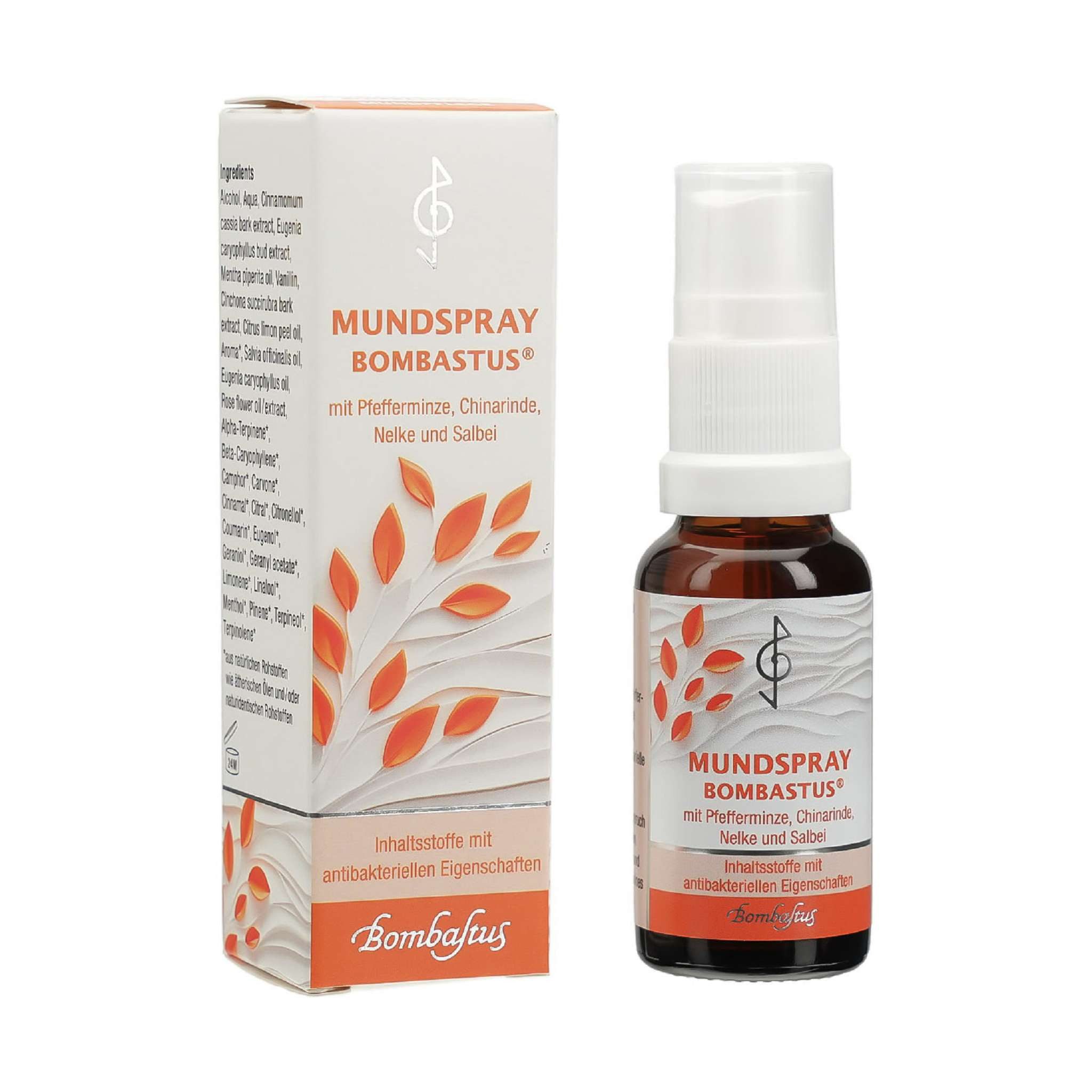 Bombastus-Werke AG Mundspray MUNDSPRAY