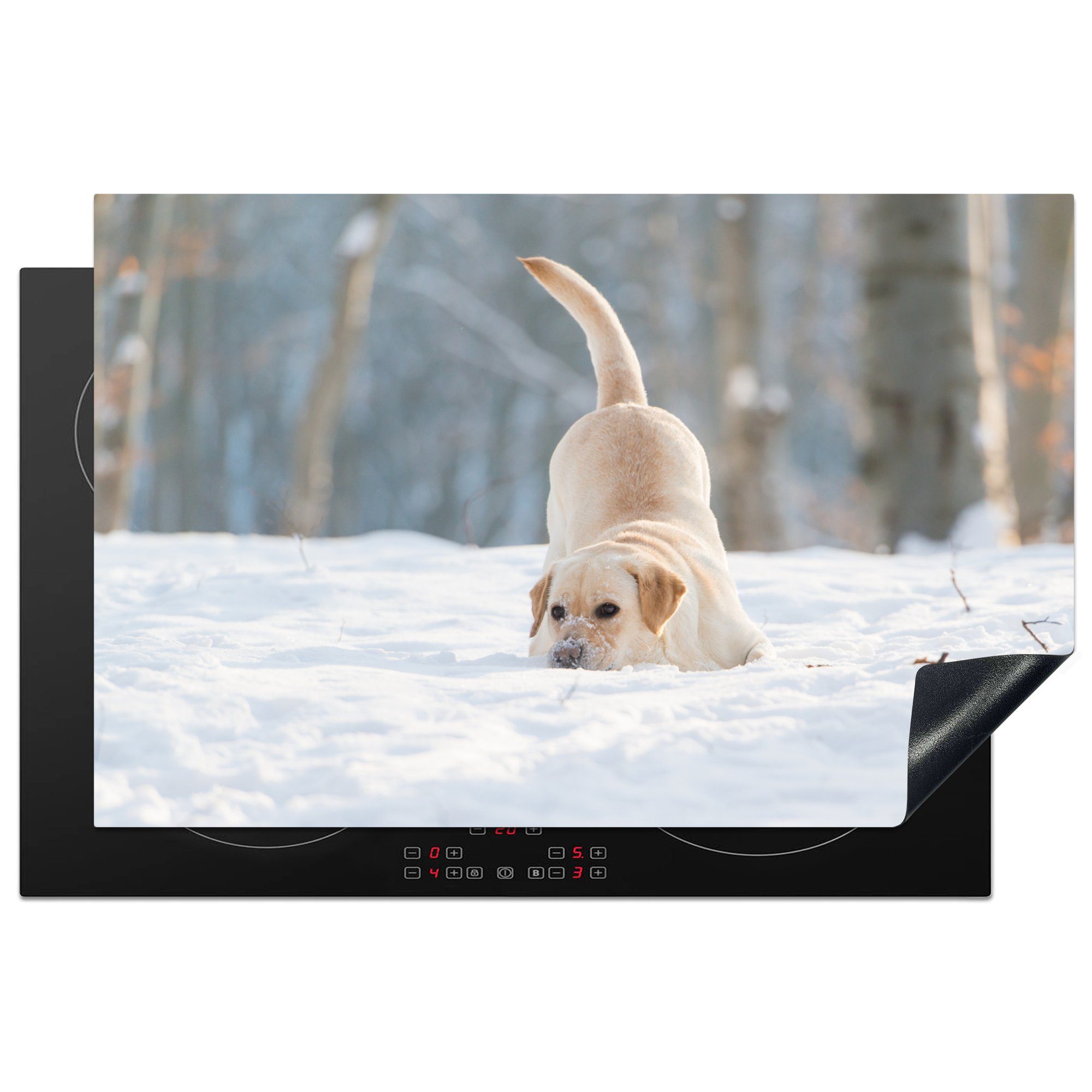 MuchoWow Herdblende-/Abdeckplatte Blick auf einen im Schnee spielenden Labradorhund, Vinyl, (1 tlg), 81x52 cm, Induktionskochfeld Schutz für die küche, Ceranfeldabdeckung