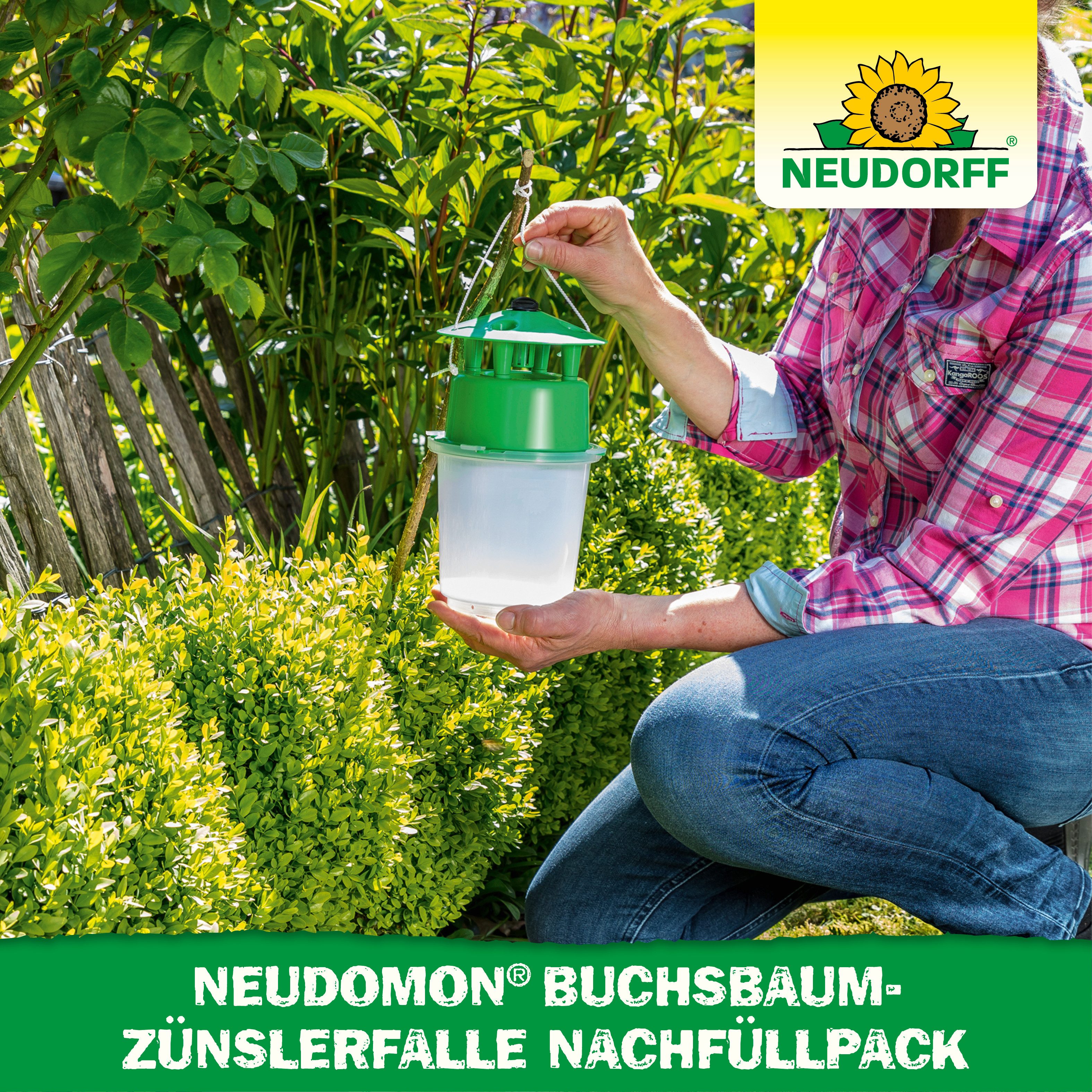 Neudorff Tierfallen-Köder Neudomon BuchsbaumzünslerFalle Nachfüllpack 1 Stk., 2 Stück, Nachfüllpack für Buchsbaumzünsler-Falle, 2 Lockstoffdepots, 2 Lockstoffde – Bild 5 von 5