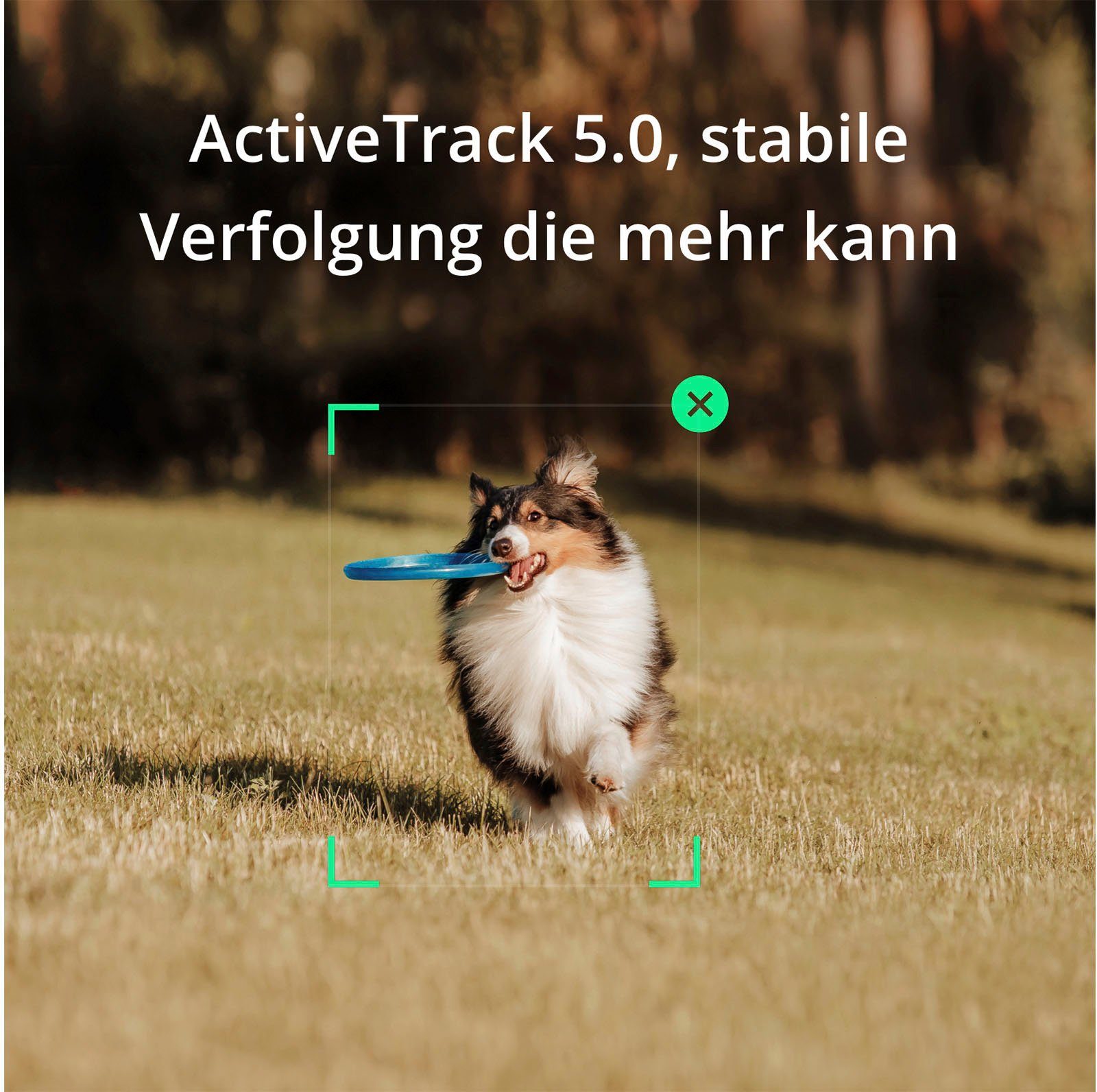 DJI OSMO MOBILE SE Gimbal