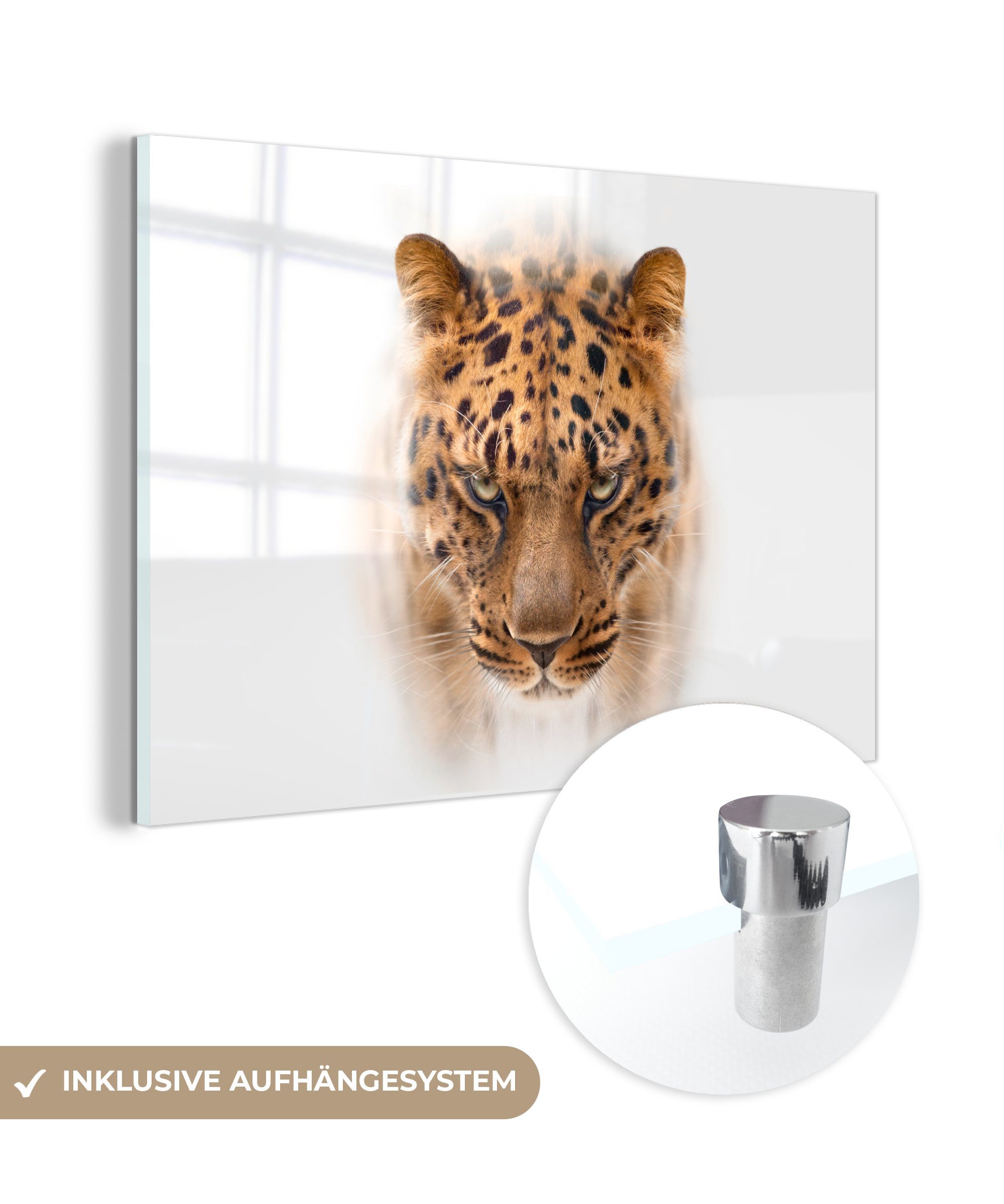 MuchoWow Acrylglasbild Leopard - Weiß - Gesicht, (1 St), Glasbilder - Bilder auf Glas Wandbild - Foto auf Glas - Wanddekoration