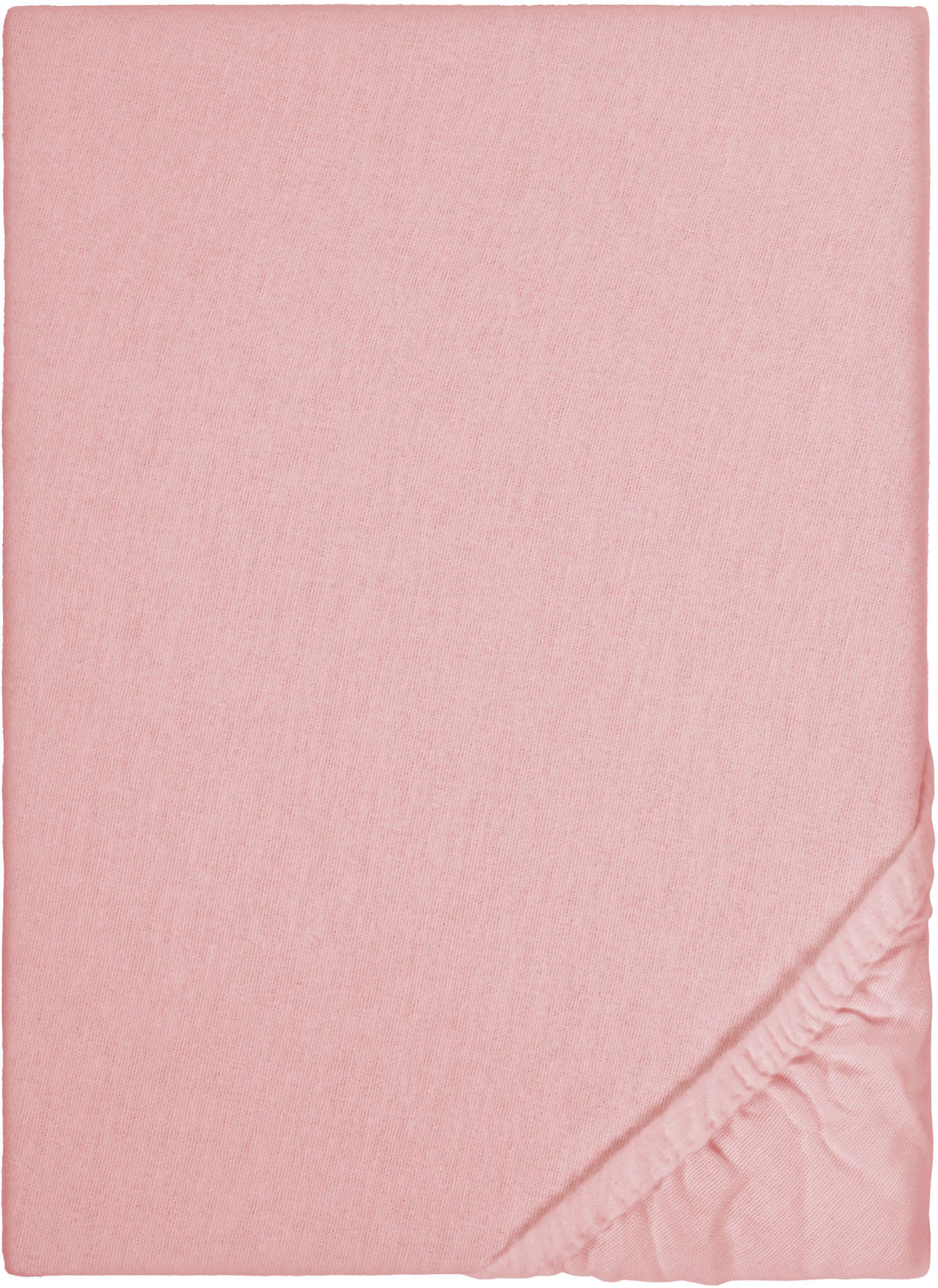 Biberna Spannbettlaken Biber in Gr. 70x140 günstig online kaufen
