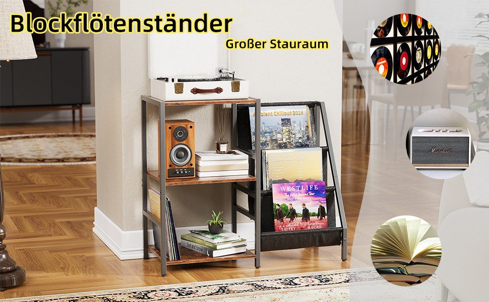 TWSOUL Plattenständer Multifunktionaler Plattenständer, Plattenspielerständer