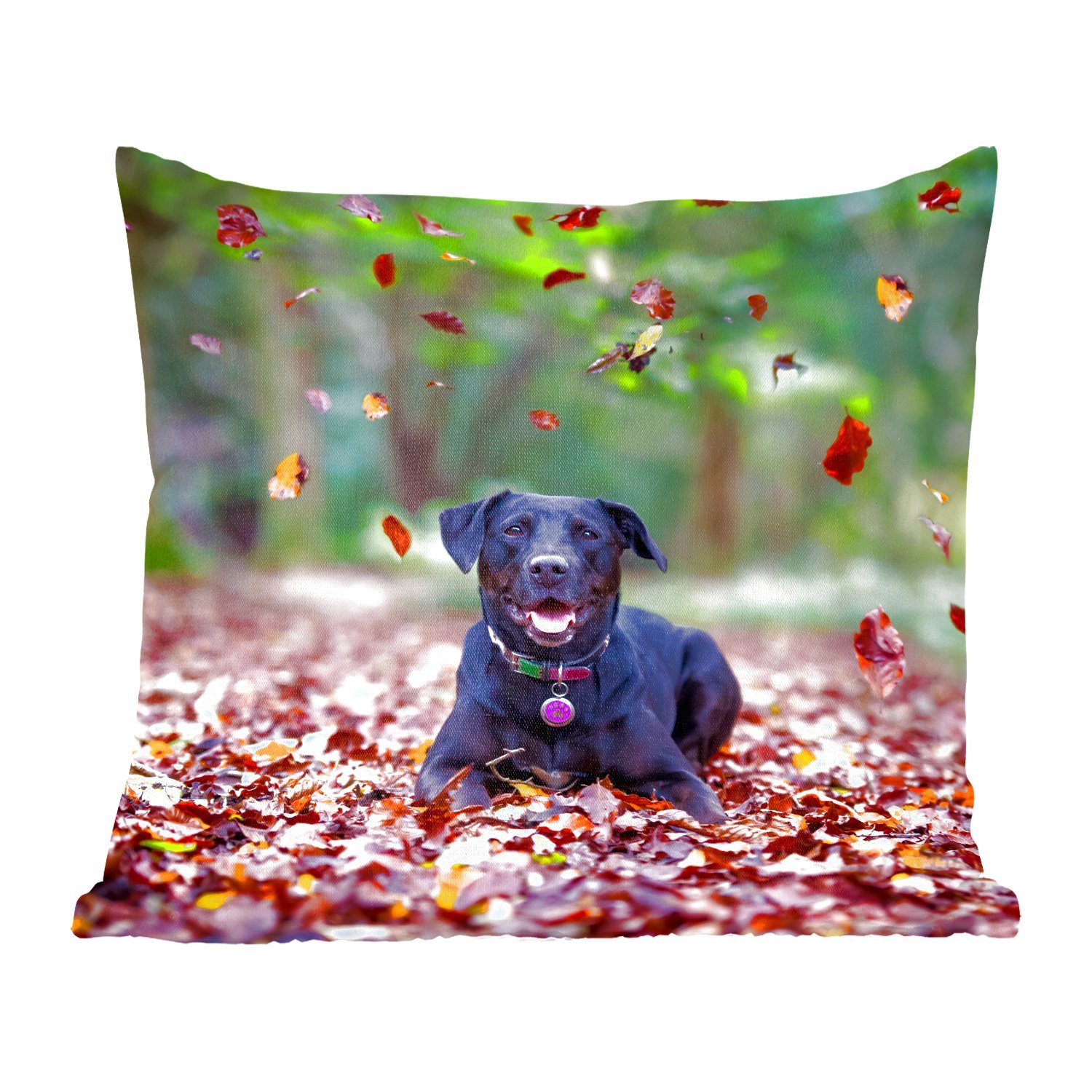 MuchoWow Dekokissen Schwarzer Labrador Retriever inmitten schöner Herbstblätter liegend, Zierkissen mit Füllung für Wohzimmer, Schlafzimmer, Deko, Sofakissen