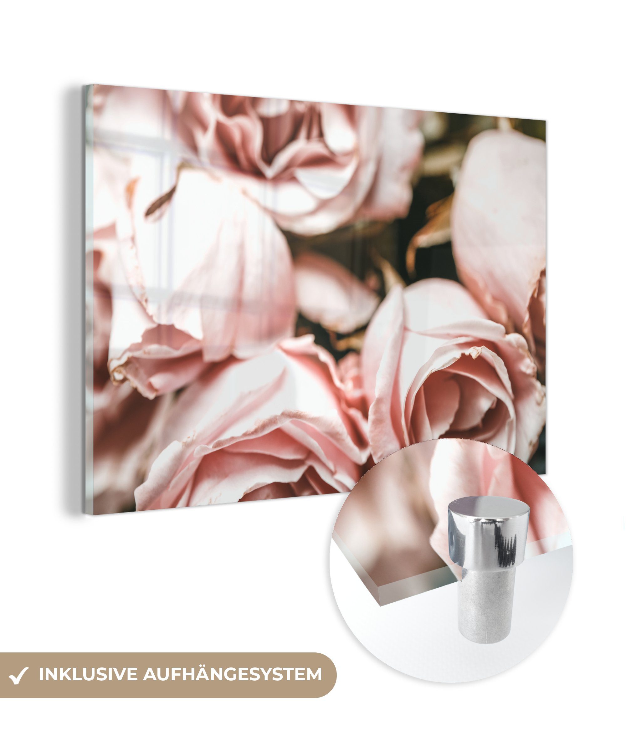 MuchoWow Acrylglasbild Rosen - Rosa - Vintage, (1 St), Acrylglasbilder Wohnzimmer & Schlafzimmer | Bilder