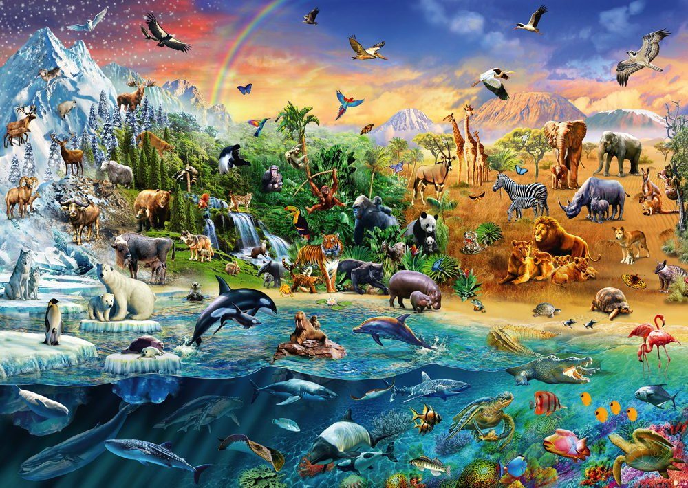 Schmidt Spiele Puzzle 1000 Teile Schmidt günstig online kaufen