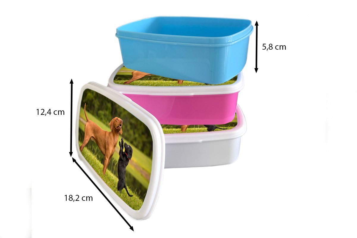 Lunchbox (2-tlg), Snackbox, Kunststoff für Kinder, MuchoWow einem Ein Brotbox mit Brotdose erwachsenen Erwachsene, spielt Hund, Welpe rosa Mädchen, Kunststoff,