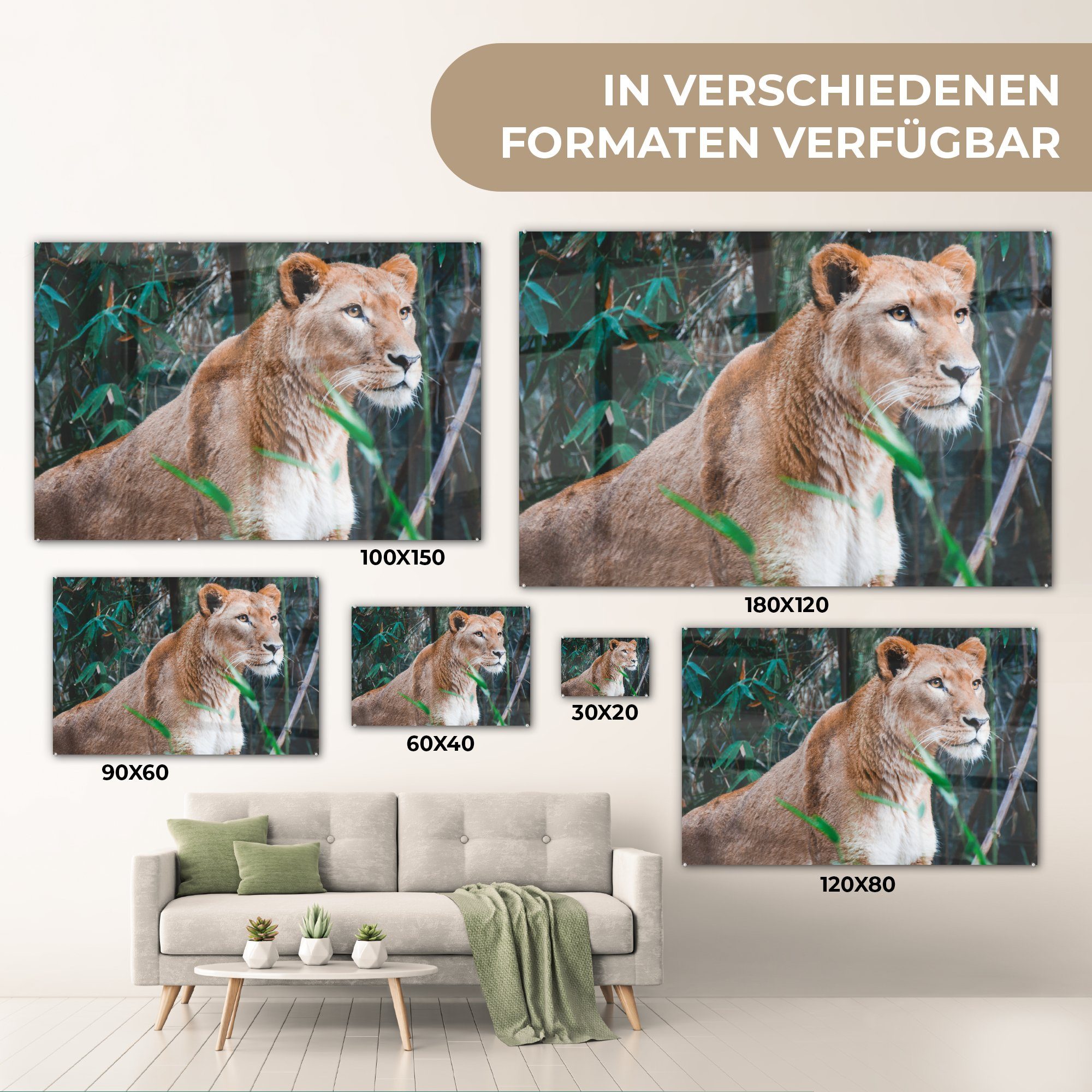 Acrylglasbilder & Acrylglasbild MuchoWow - Schlafzimmer Wald, - St), Wohnzimmer Löwe Pflanzen (1