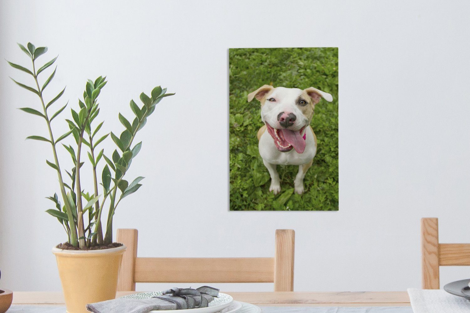 OneMillionCanvasses® Leinwandbild im (1 St), Leinwandbild Gras, Gemälde, bespannt fertig Zackenaufhänger, 20x30 cm inkl. Pitbull
