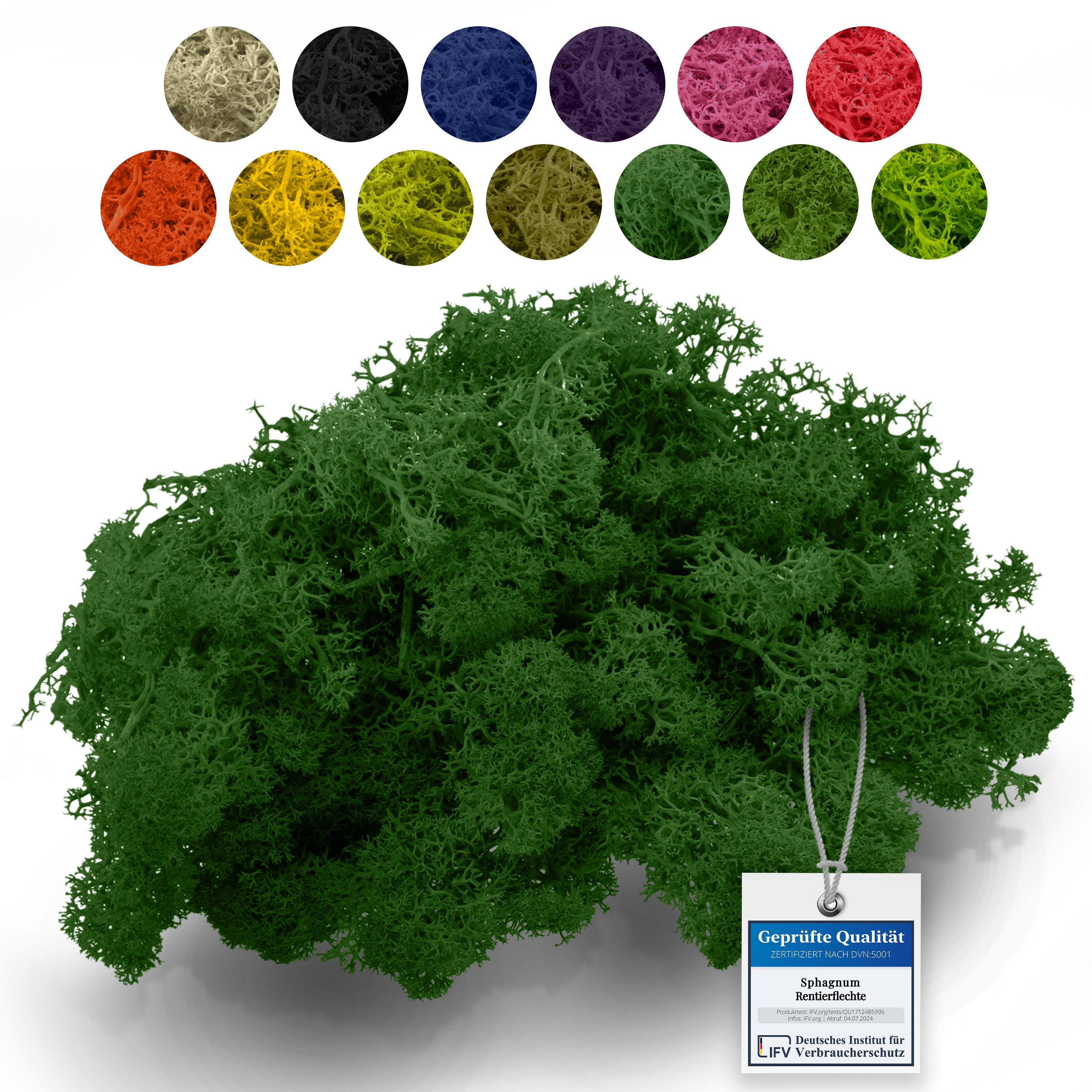 sphagnum-shop.com Bastelnaturmaterial Islandmoos Rentierflechte 500g, Echtes Moos zum Basteln & Dekorieren, Farbecht, Formstabil, Pflegefrei