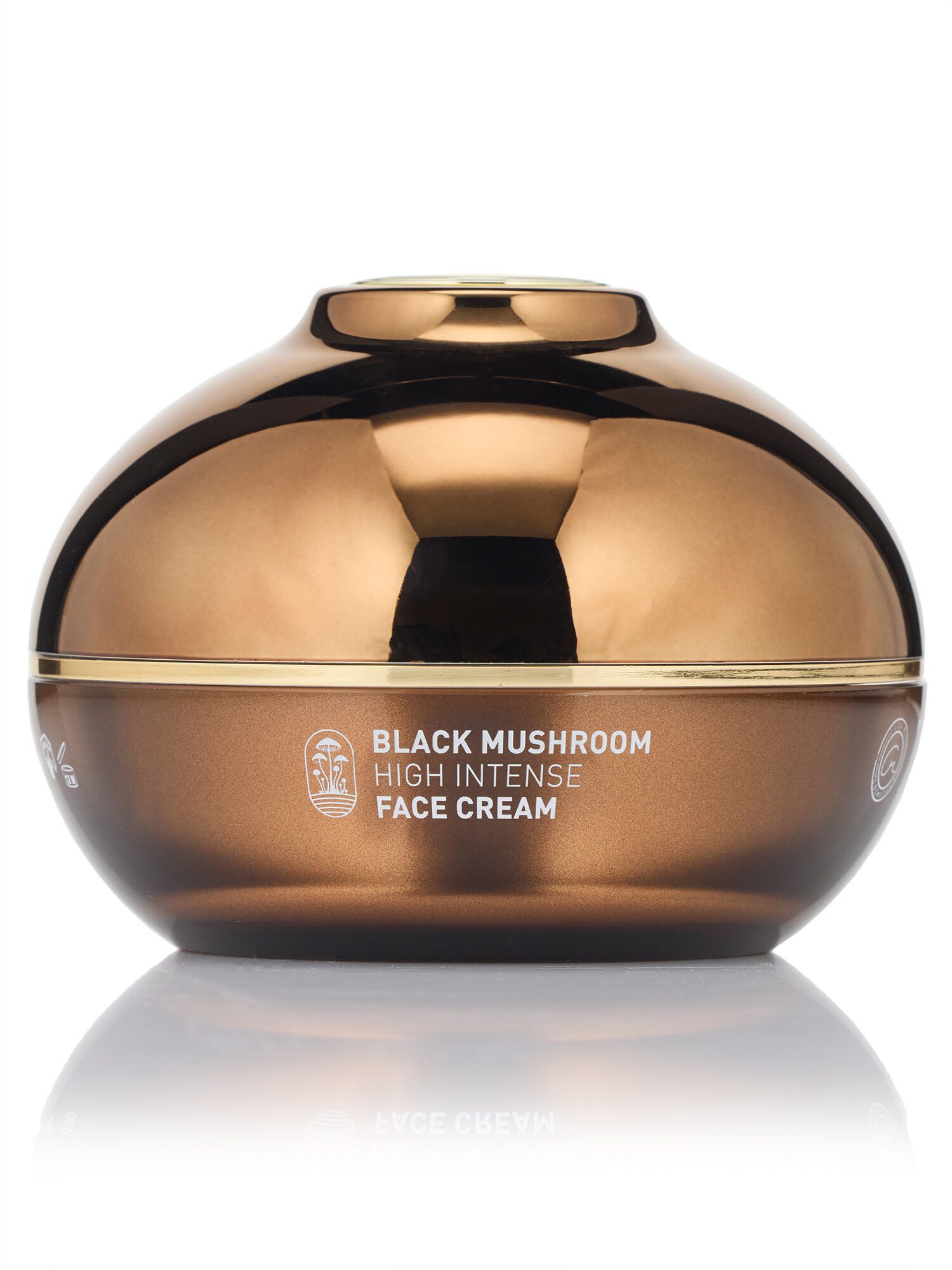 Christian Materne Gesichtspflege Gesichtscreme "Black Mushroom High Intense Cream", 100 ml, Mit Reishi- und Shiitake-Extrakten, antioxidativ, Barriere-stärkend