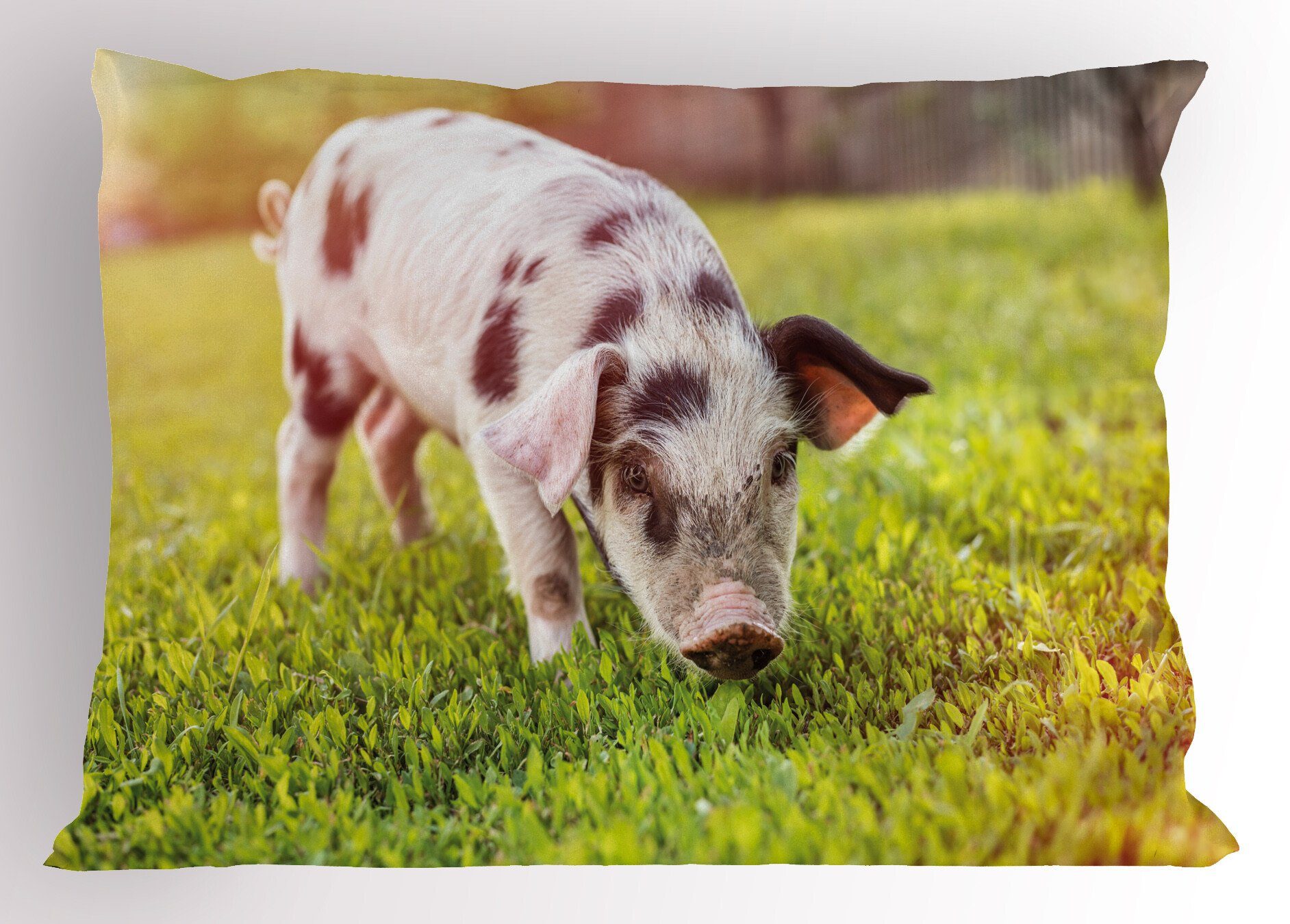 Kissenbezüge Dekorativer Standard King Size Gedruckter Kissenbezug, Abakuhaus (1 Stück), Bauernhoftier Baby-Schwein mit Spots