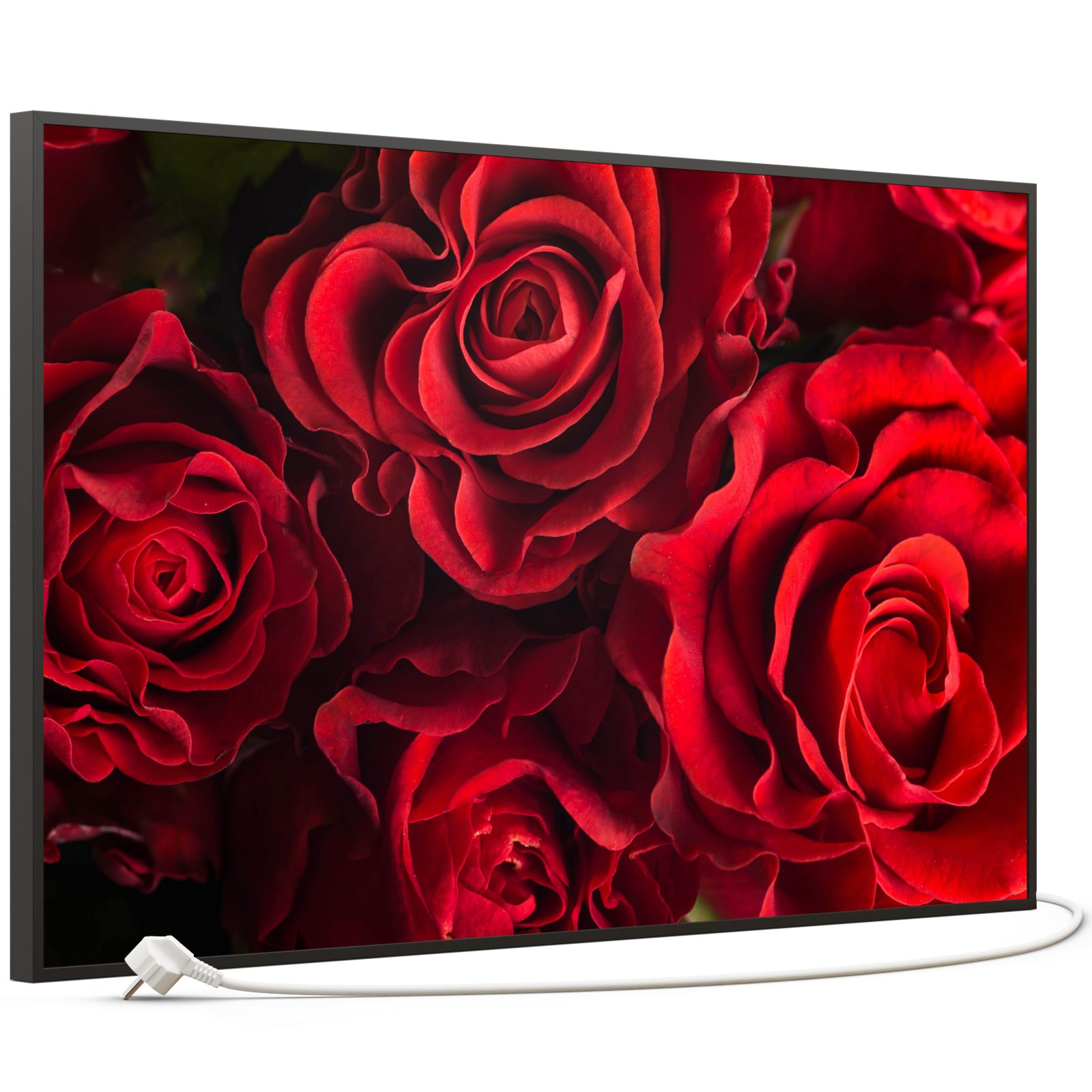 STEINFELD Heizsysteme Infrarotheizung Bild 600W, 100x60cm, Made in Germany, 7J Garantie, mit Thermostat, viele Motive