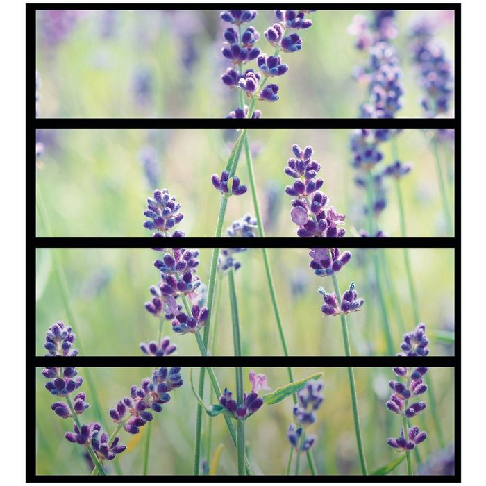 Wallario Möbelfolie Lila Blumenfreude - Violette Pflanzen auf der Wiese