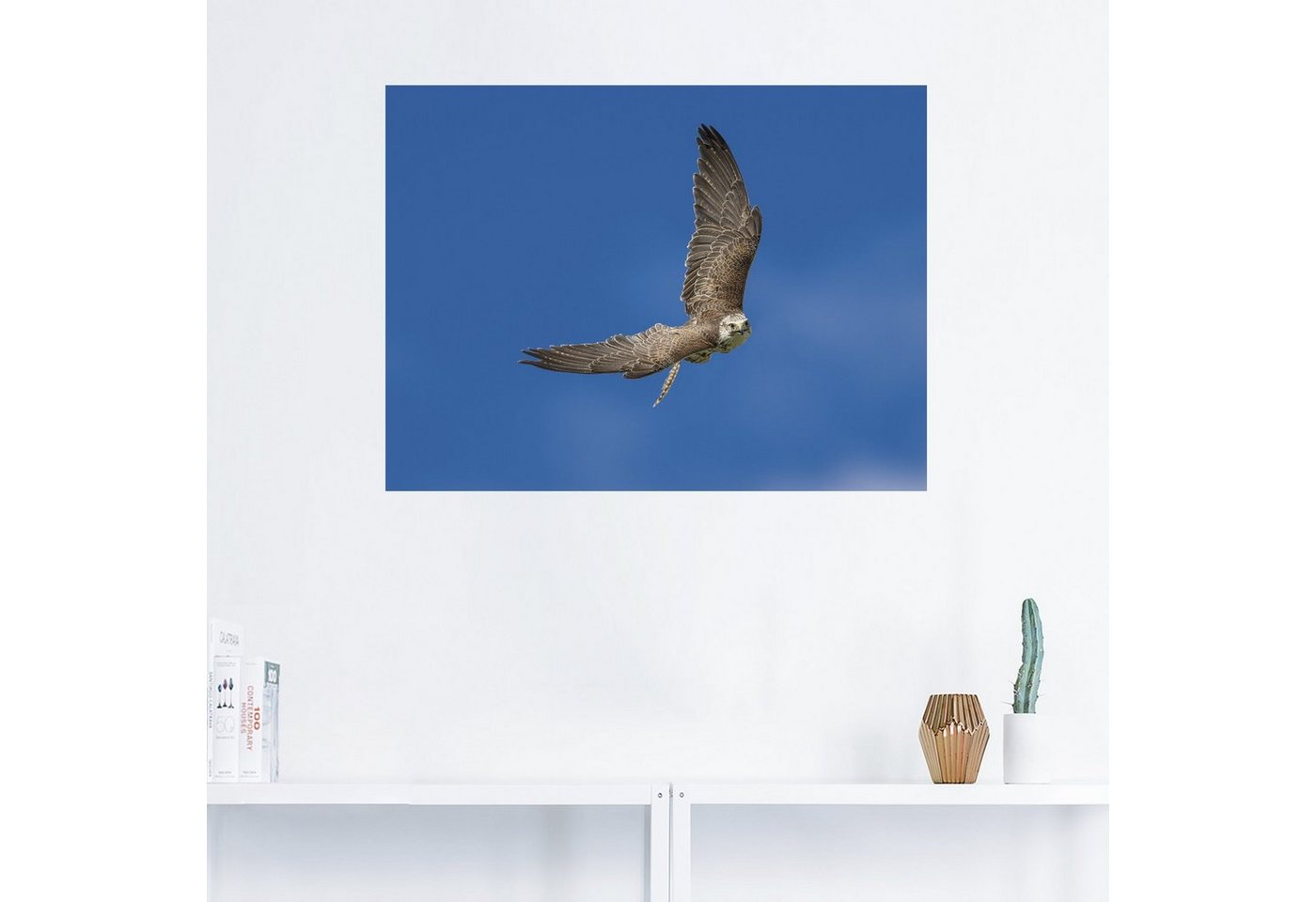 Artland Wandbild »Der Falke«, Vögel (1 Stück), in vielen Größen & Produktarten -Leinwandbild, Poster, Wandaufkleber / Wandtattoo auch für Badezimmer geeignet-kaufen
