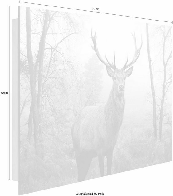 Home affaire Deco-Panel »Hirsch im Wald«, 90/60 cm-Otto