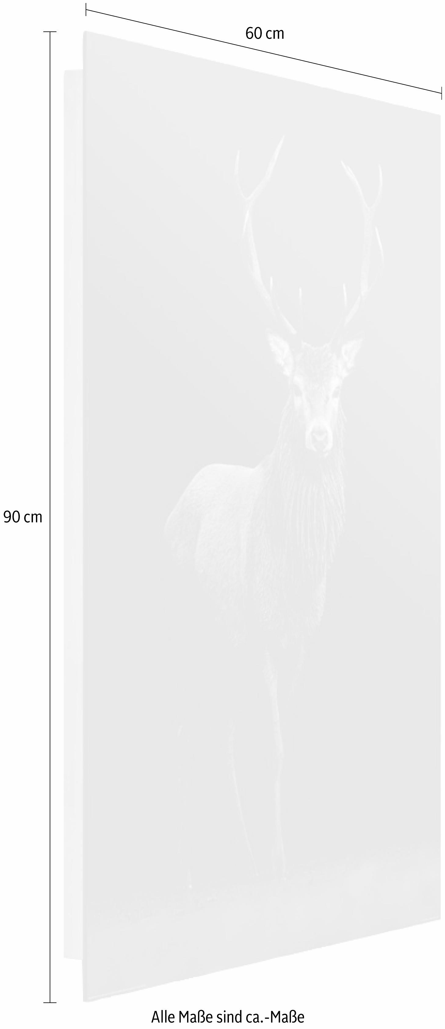 Home affaire Deco-Panel »Hirsch«, 60/90 cm-Otto