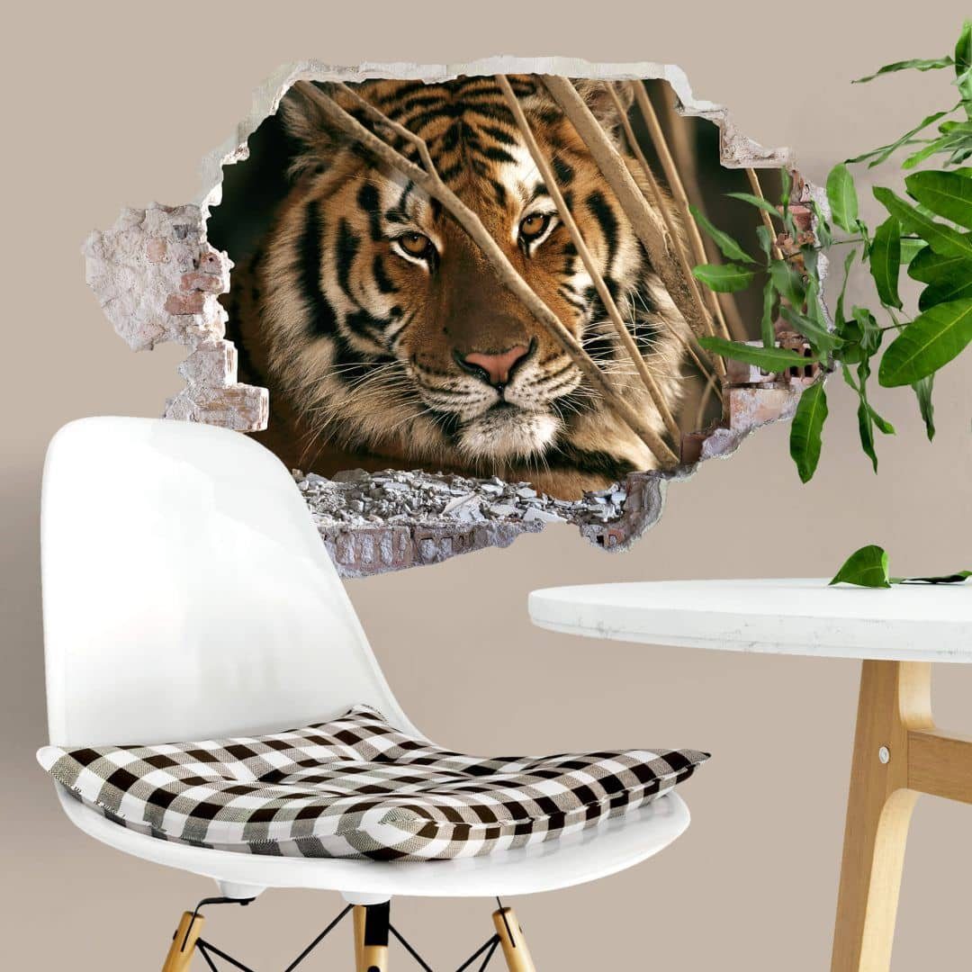 K&L Wall Art Wandtattoo 3D Wandtattoo National Geographic Tiger Fotografie Dschungel Tiere, Mauerdurchbruch Wandbild selbstklebend