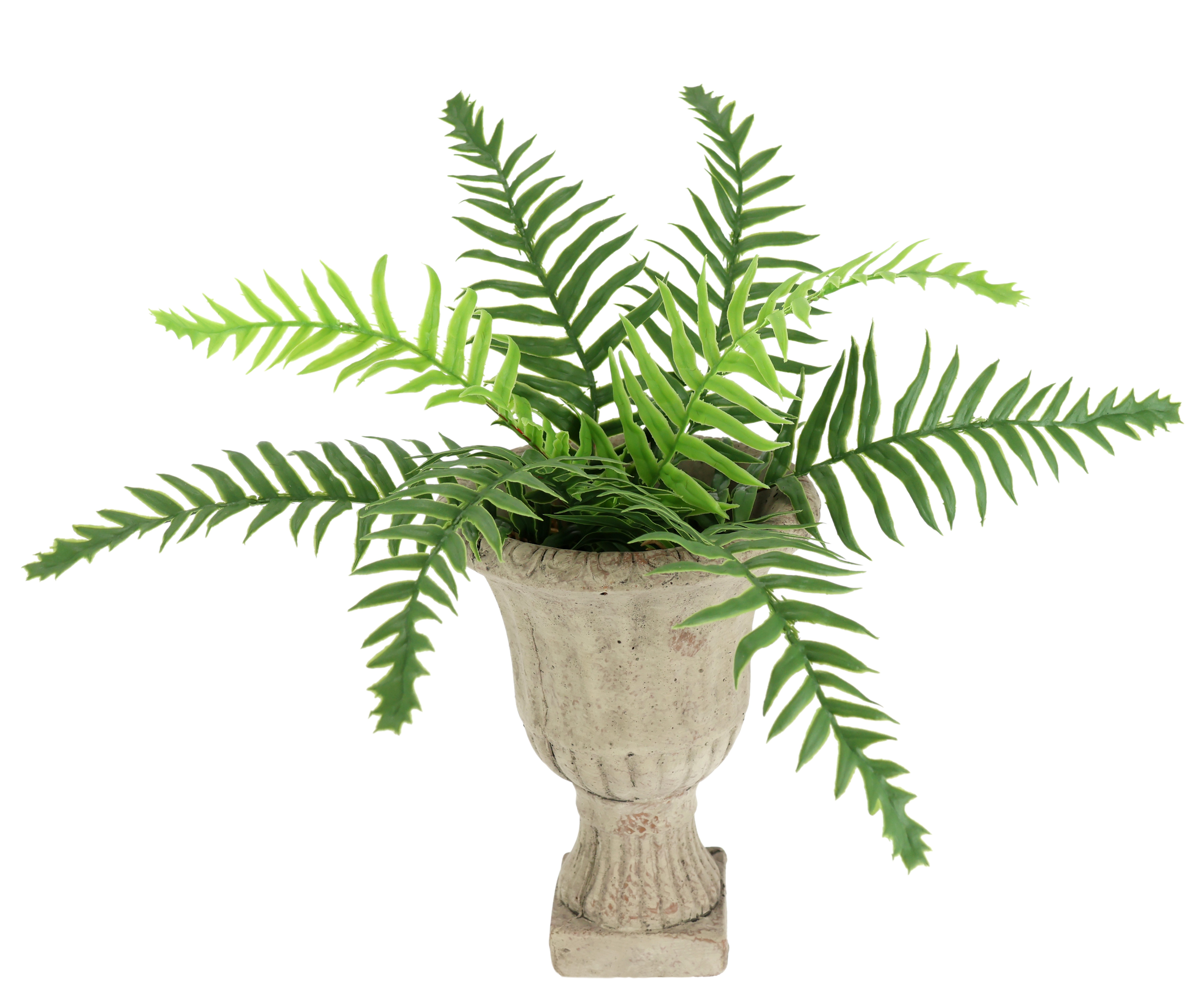philodendron ring of fire Philodendron Ring of Fire – Jungle & Loom main image 1