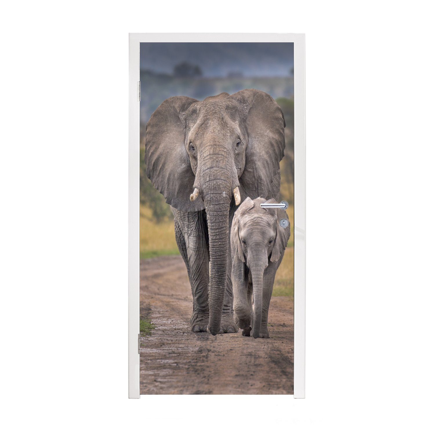 Ngorongoro-Krater, 75x205 Türaufkleber, für Türtapete (1 Straße Elefantenmutter auf bedruckt, einer Fototapete Kalb St), und im Tür, Matt, cm MuchoWow