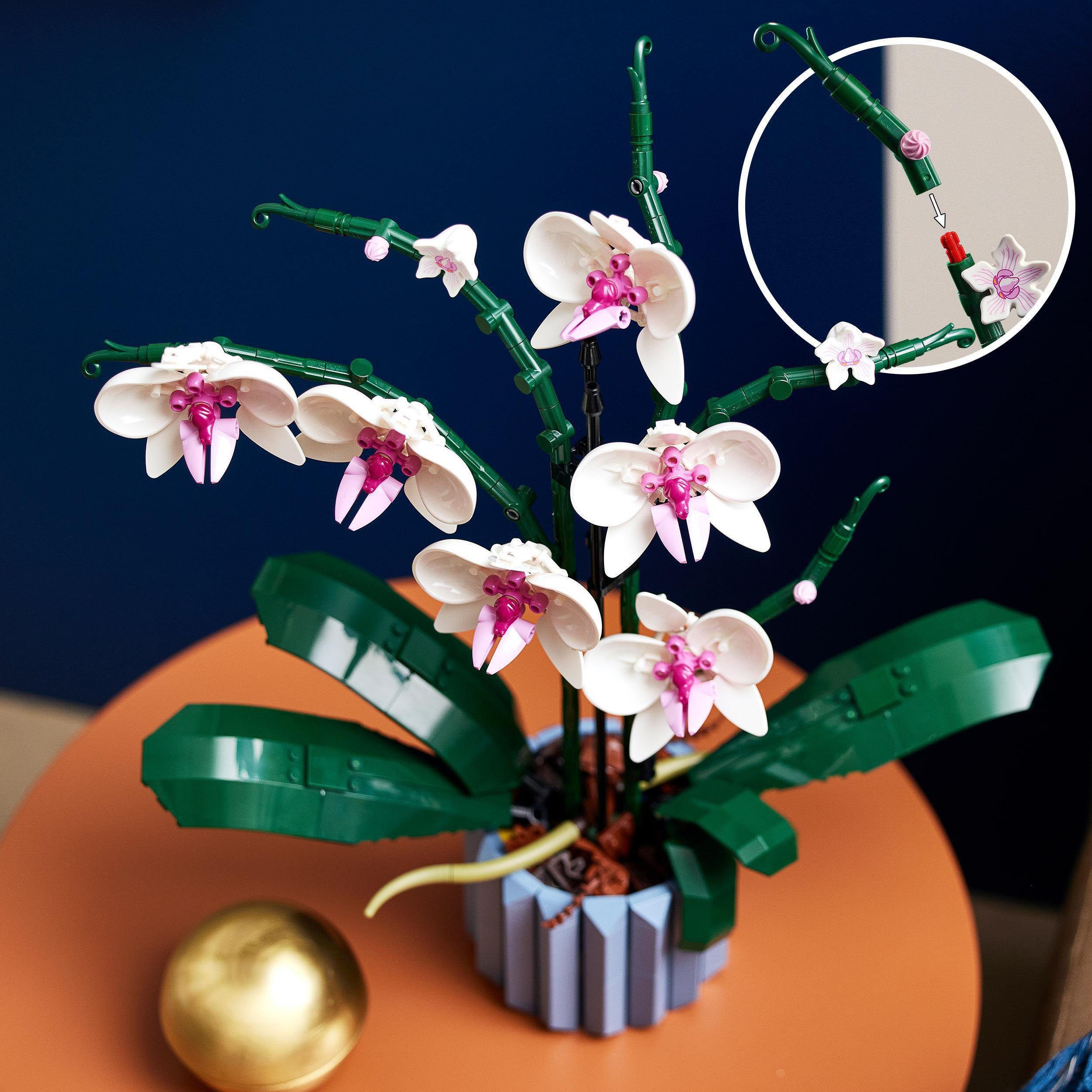 LEGO® Orchidee (10311), LEGO Botanicals Konstruktionsspielsteine, (608 St), günstig online kaufen