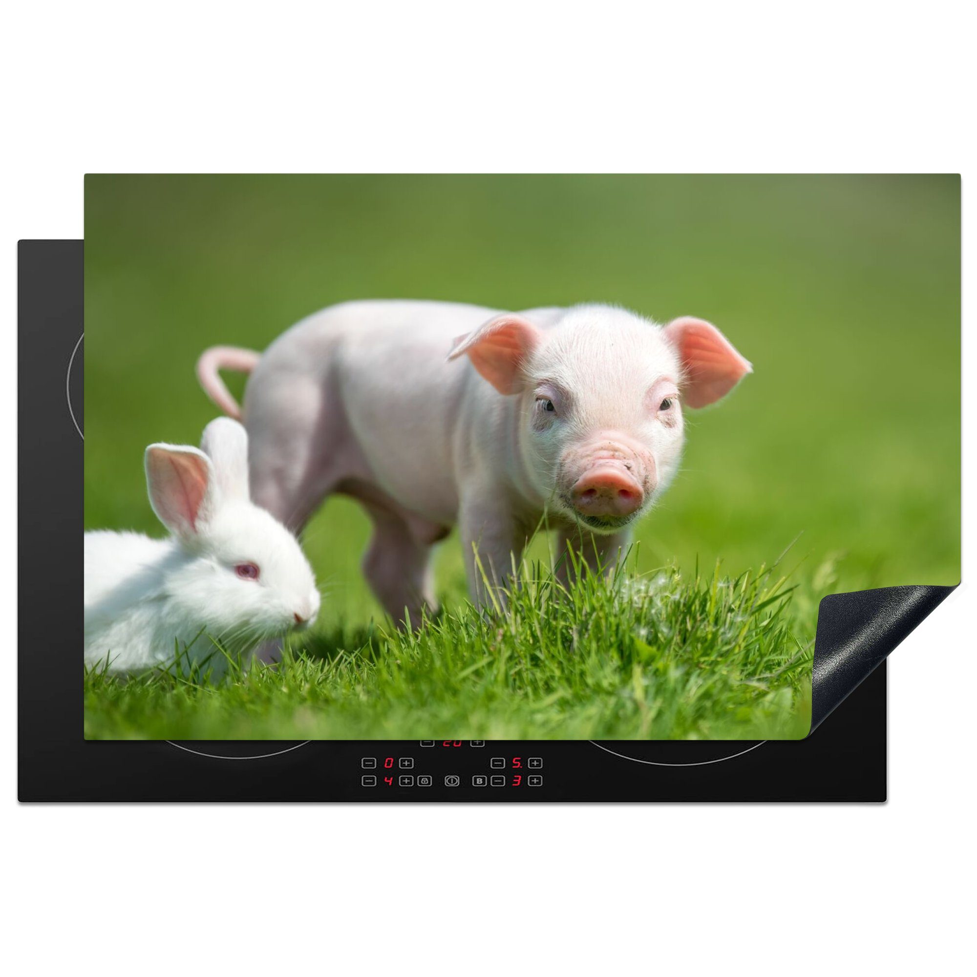 MuchoWow Herdblende-/Abdeckplatte Ferkel - Kaninchen - Tiere, Vinyl, (1 tlg), 81x52 cm, Ceranfeldabdeckung, Arbeitsplatte für küche