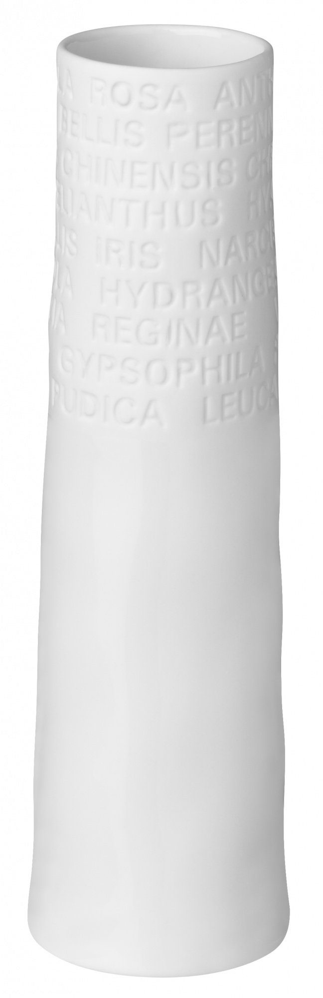Räder Design Dekovase SCHMALE VASE "KLEIN, günstig online kaufen
