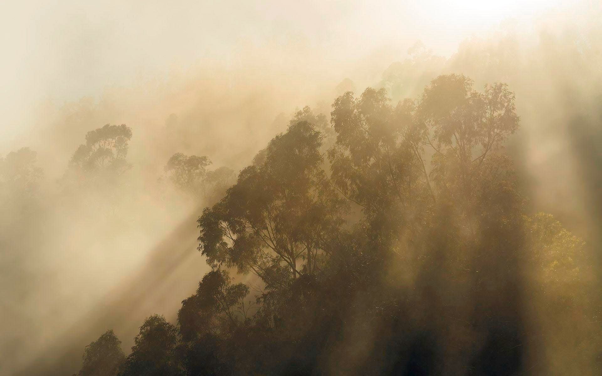 Komar Vliestapete »Misty Mountain«, glatt, naturalistisch-Otto