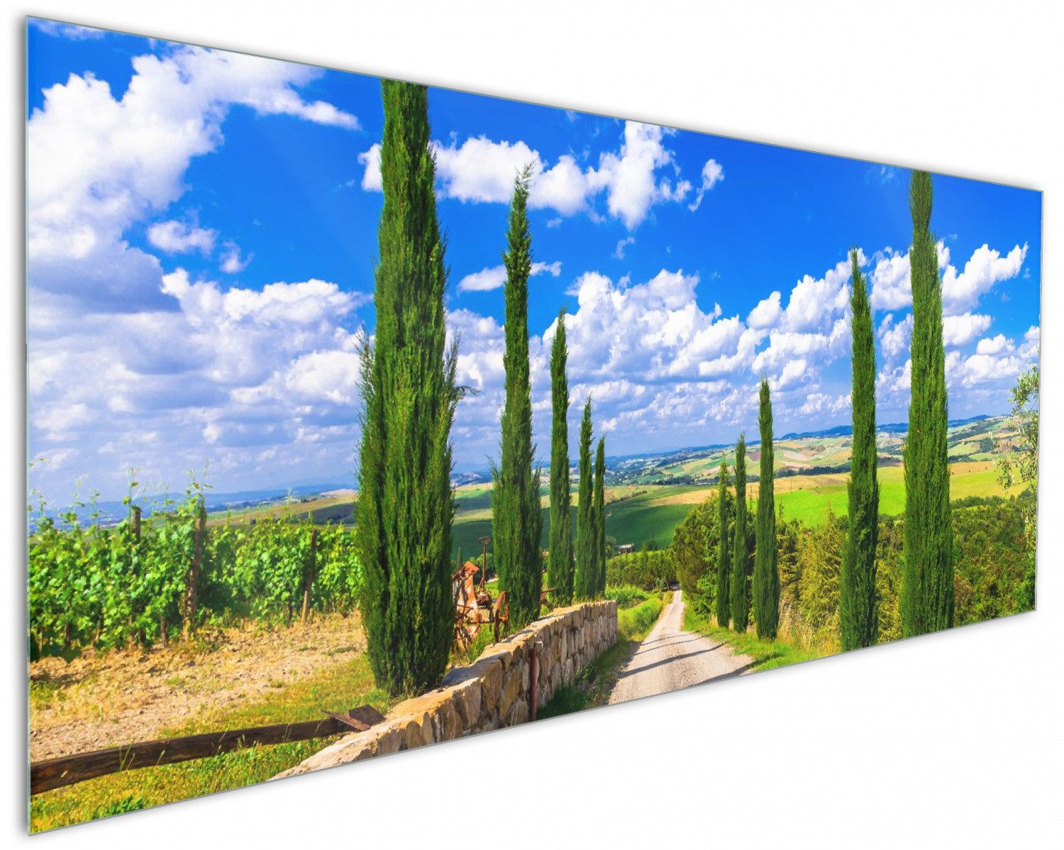 Wallario Küchenrückwand Zypressenweg in der Toskana, (1-tlg)