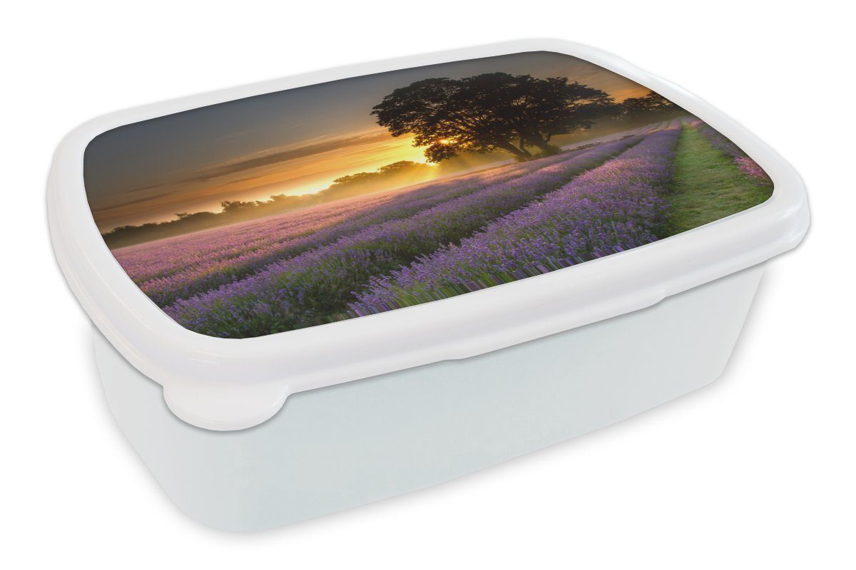 MuchoWow Lunchbox Maifeld-Lavendelfelder bei nebligem Sonnenaufgang, Kunststoff, (2-tlg), Brotbox für Kinder und Erwachsene, Brotdose, für Jungs und Mädchen weiß