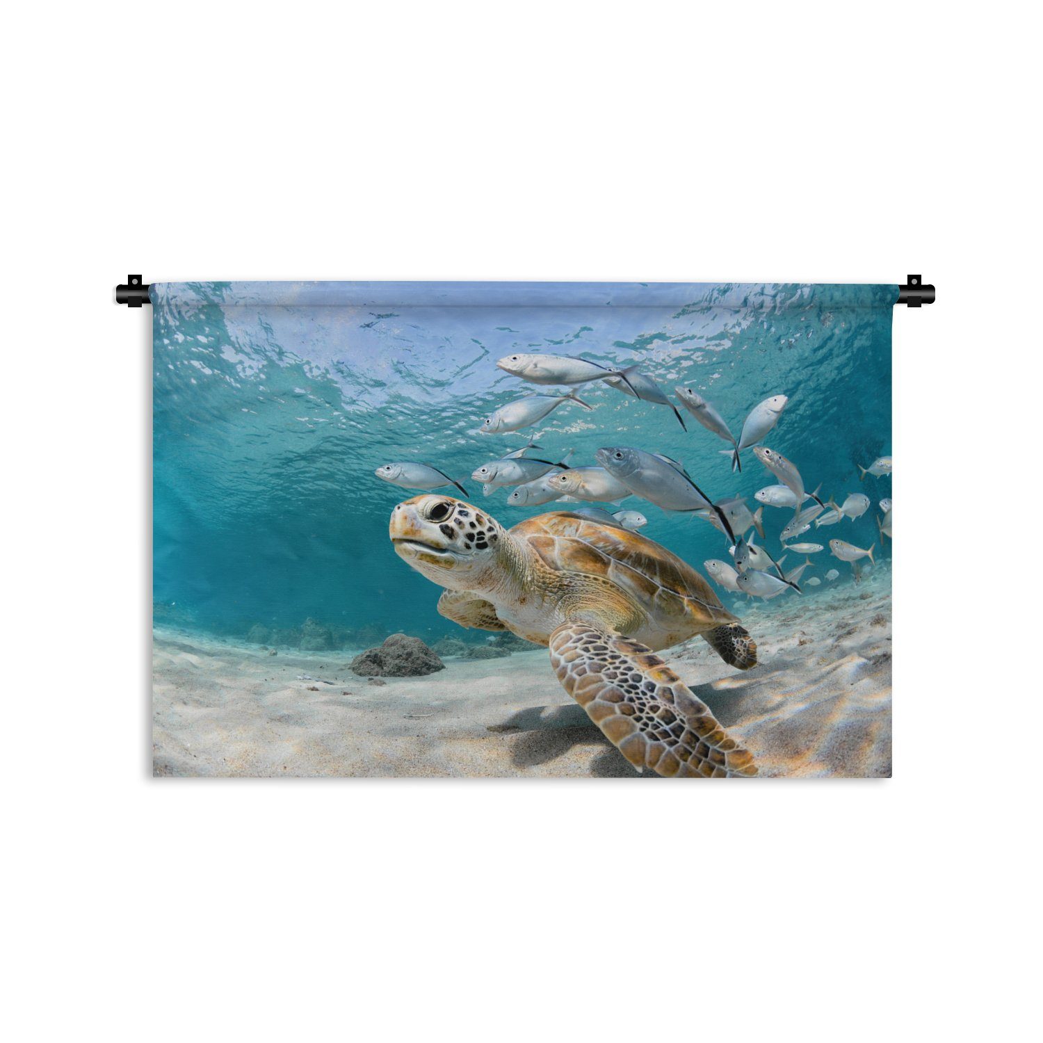 Wandtuch Fisch für Schildkröte Wanddekoobjekt Meer, Hausdekor Wohnzimmer, - MuchoWow Schlafzimmer, Kinderzimmer -