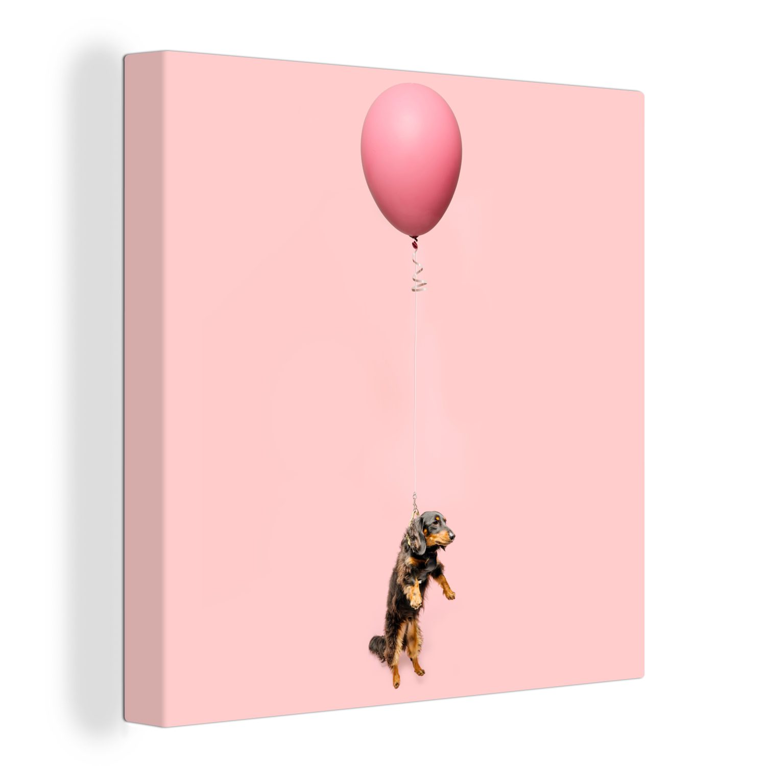 OneMillionCanvasses® Leinwandbild Dackel schwebt durch einen Ballon nach oben, (1 St), Leinwand Bilder für Wohnzimmer Schlafzimmer