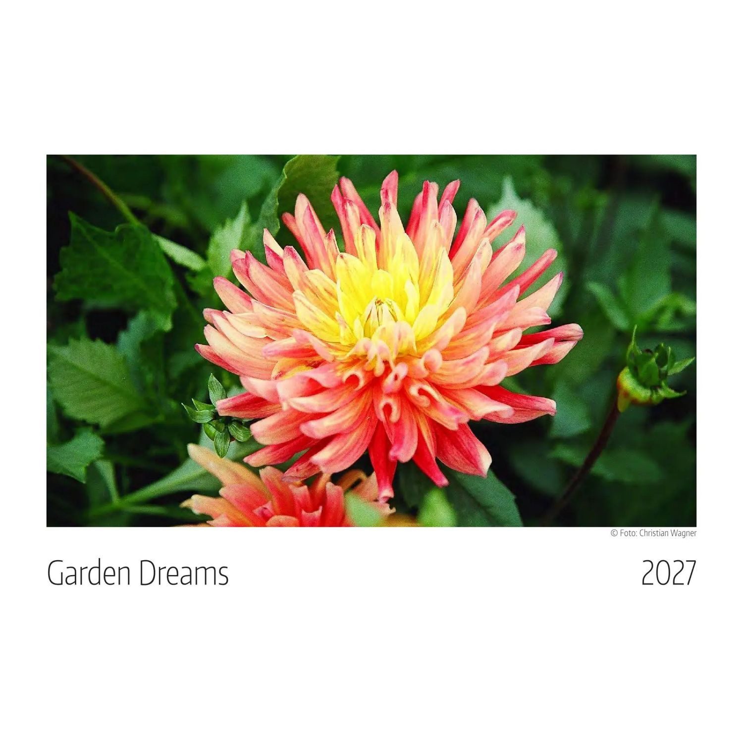 WAGNER Wandkalender Garden Dreams Kalender 2027