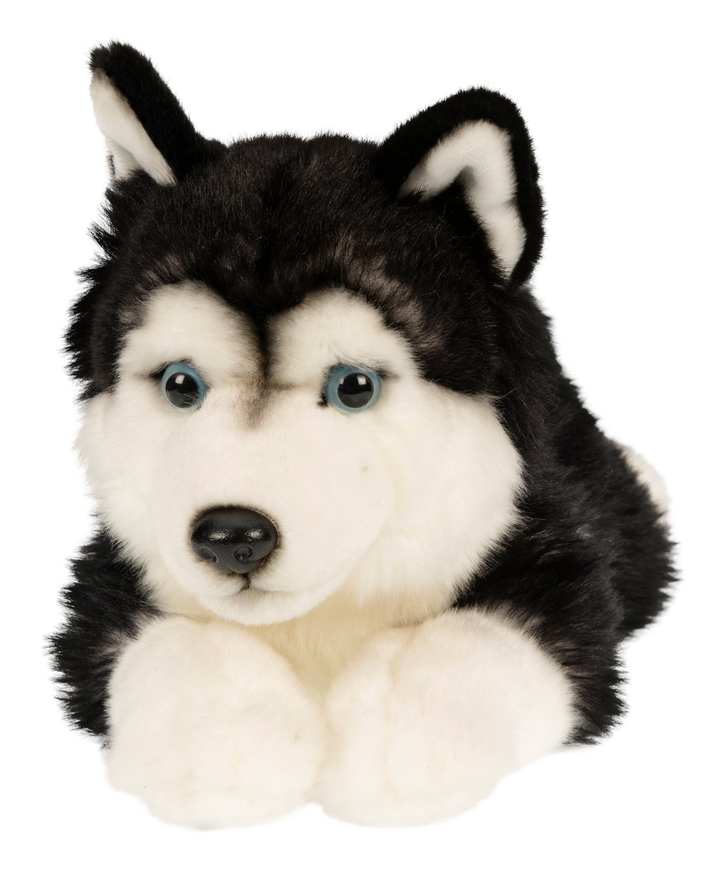 Uni-Toys Kuscheltier Husky recyceltes - 41 Plüsch-Hund cm liegend schwarz, - Füllmaterial Plüschtier, zu - 100 % (Länge)