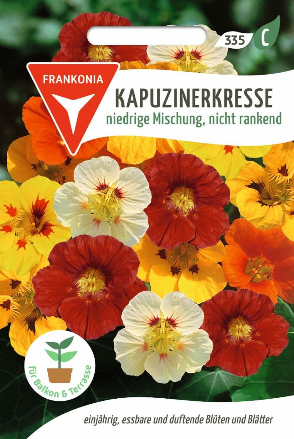 FRANKONIA Kräutersamen Kapuzinerkresse, niedriege nichtrankende Mischung - Saatgut Samen, Tropaolum majus nanum
